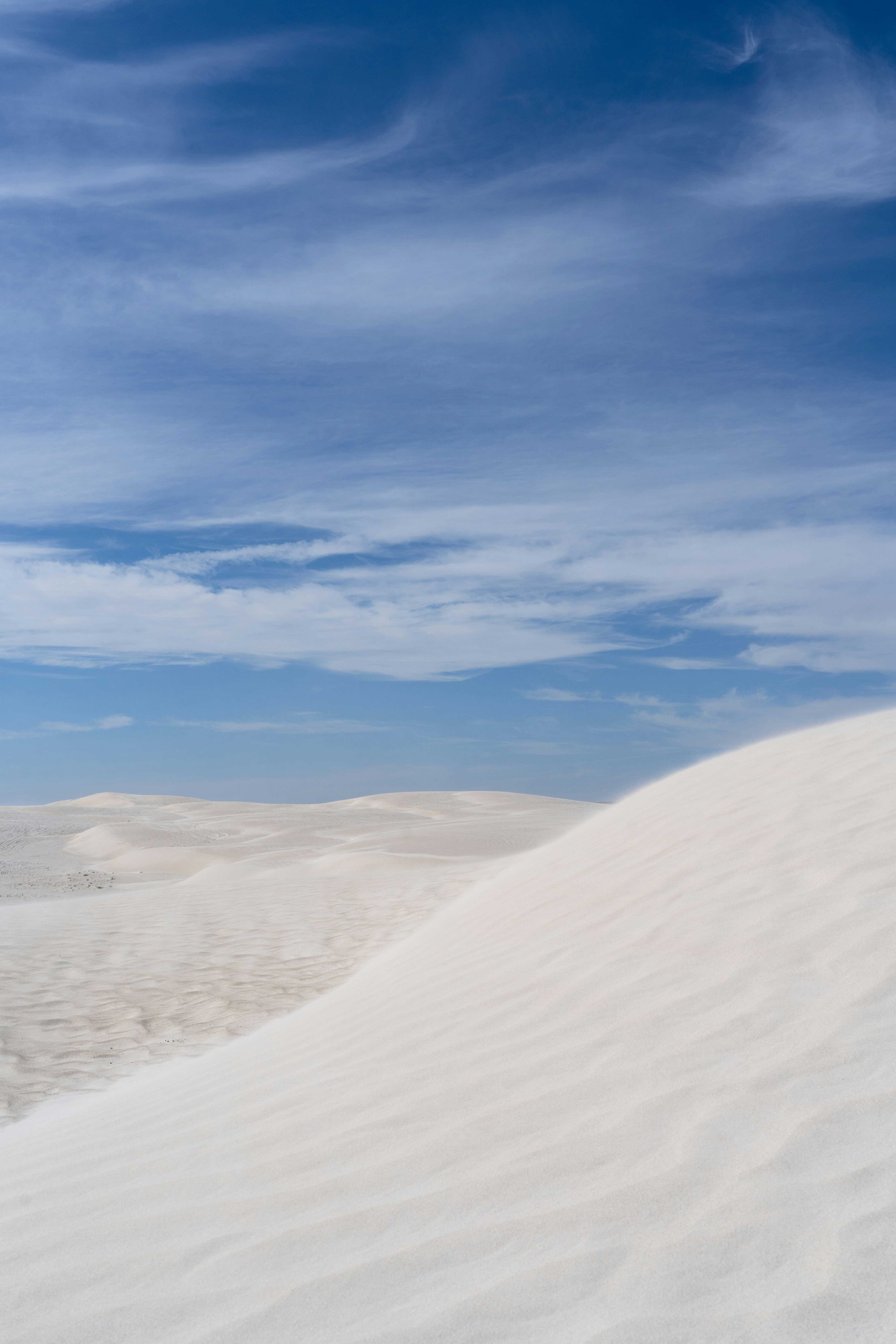 Photo by codydoesphoto