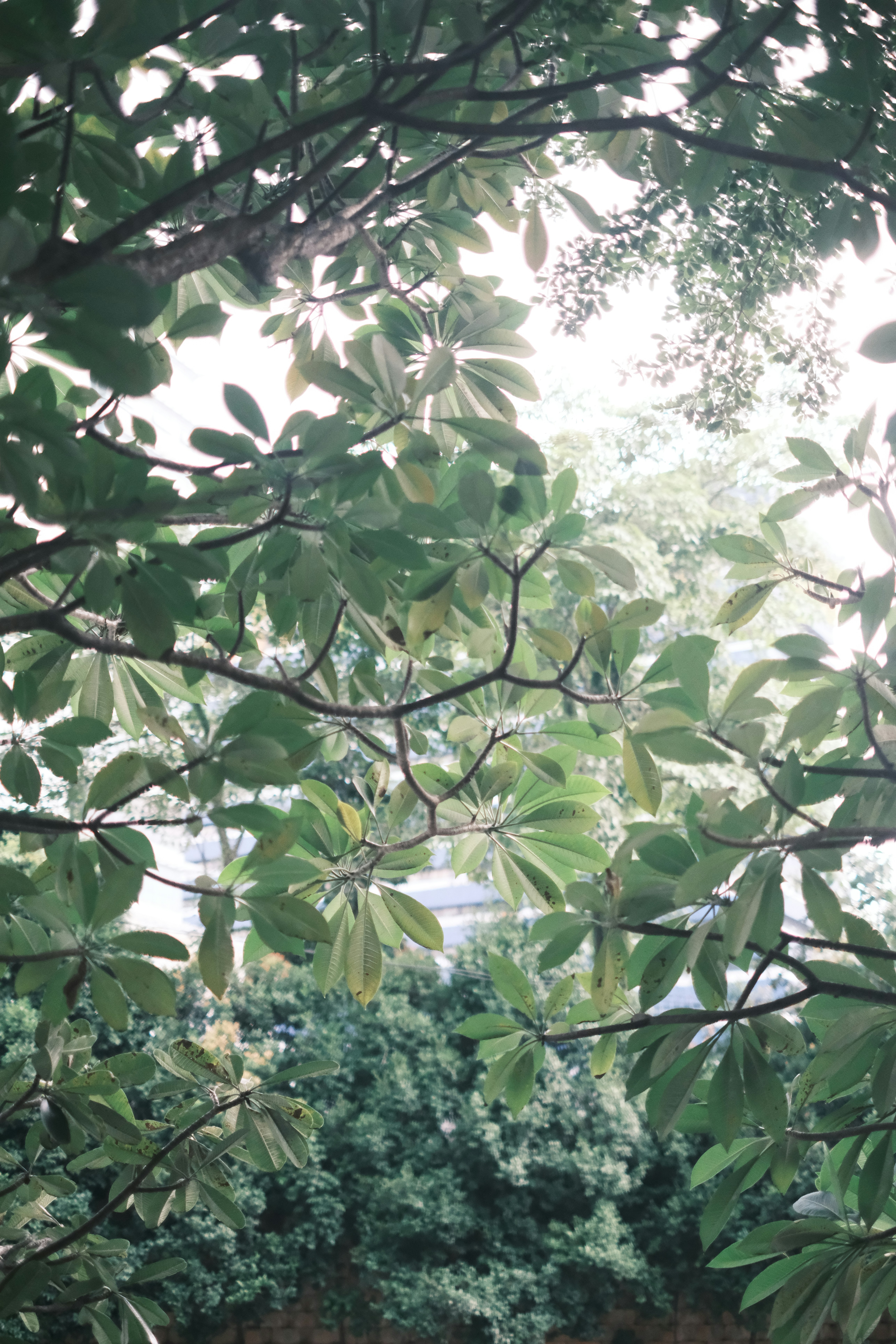 Photo by subspace_stills