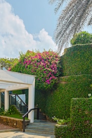 a white building with a bunch of flowers growing on the side of it