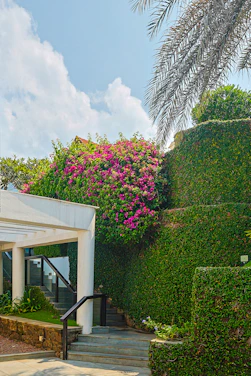 a white building with a bunch of flowers growing on the side of it