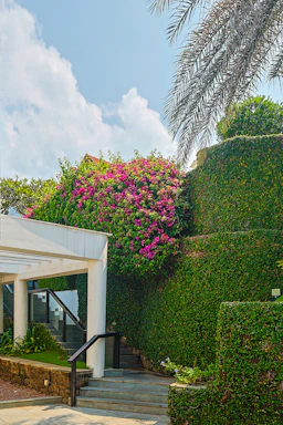 a white building with a bunch of flowers growing on the side of it