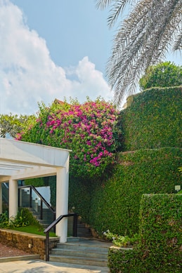a white building with a bunch of flowers growing on the side of it