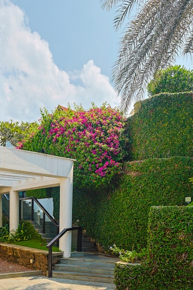 a white building with a bunch of flowers growing on the side of it