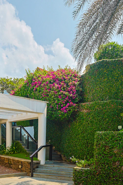 a white building with a bunch of flowers growing on the side of it
