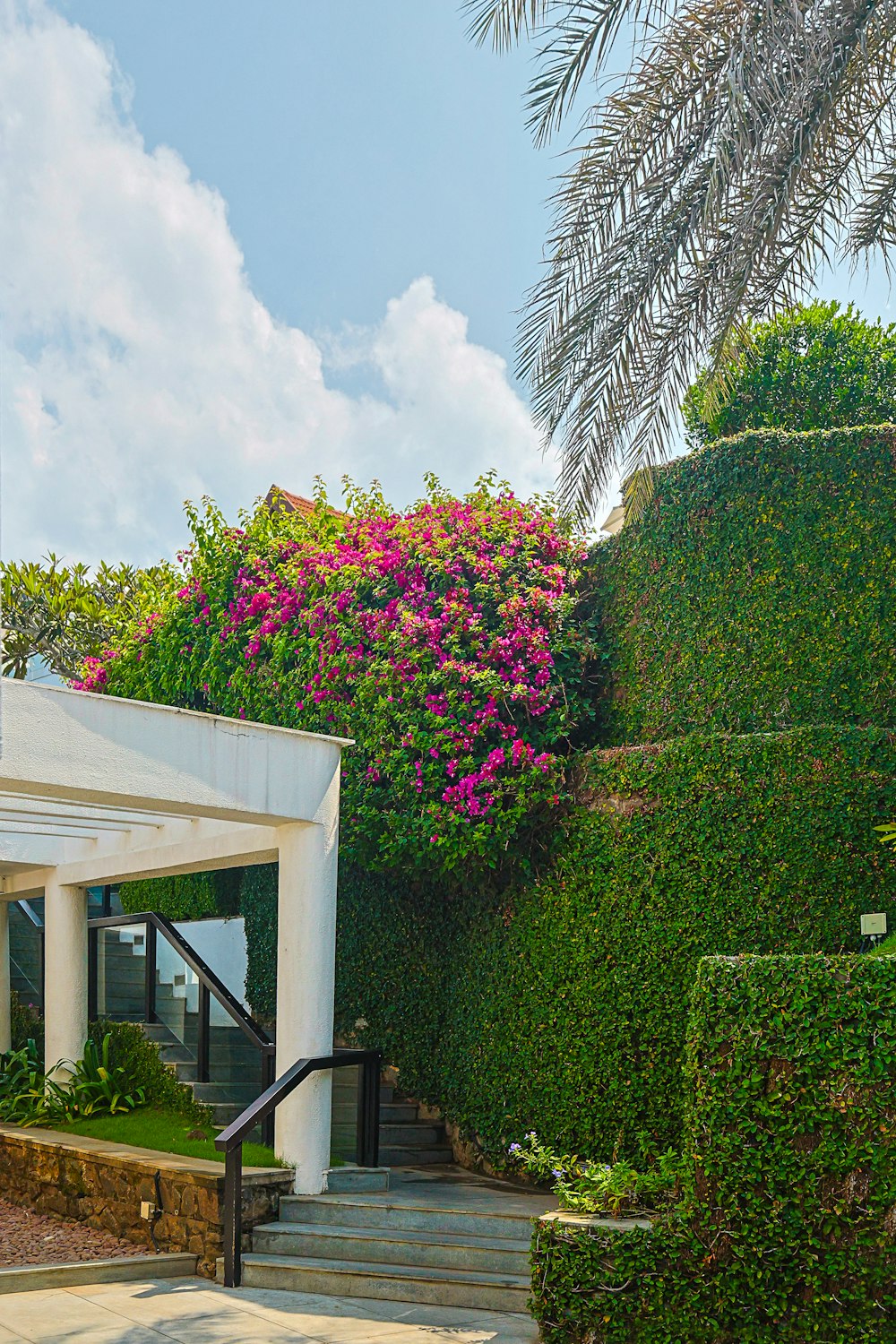 a white building with a bunch of flowers growing on the side of it