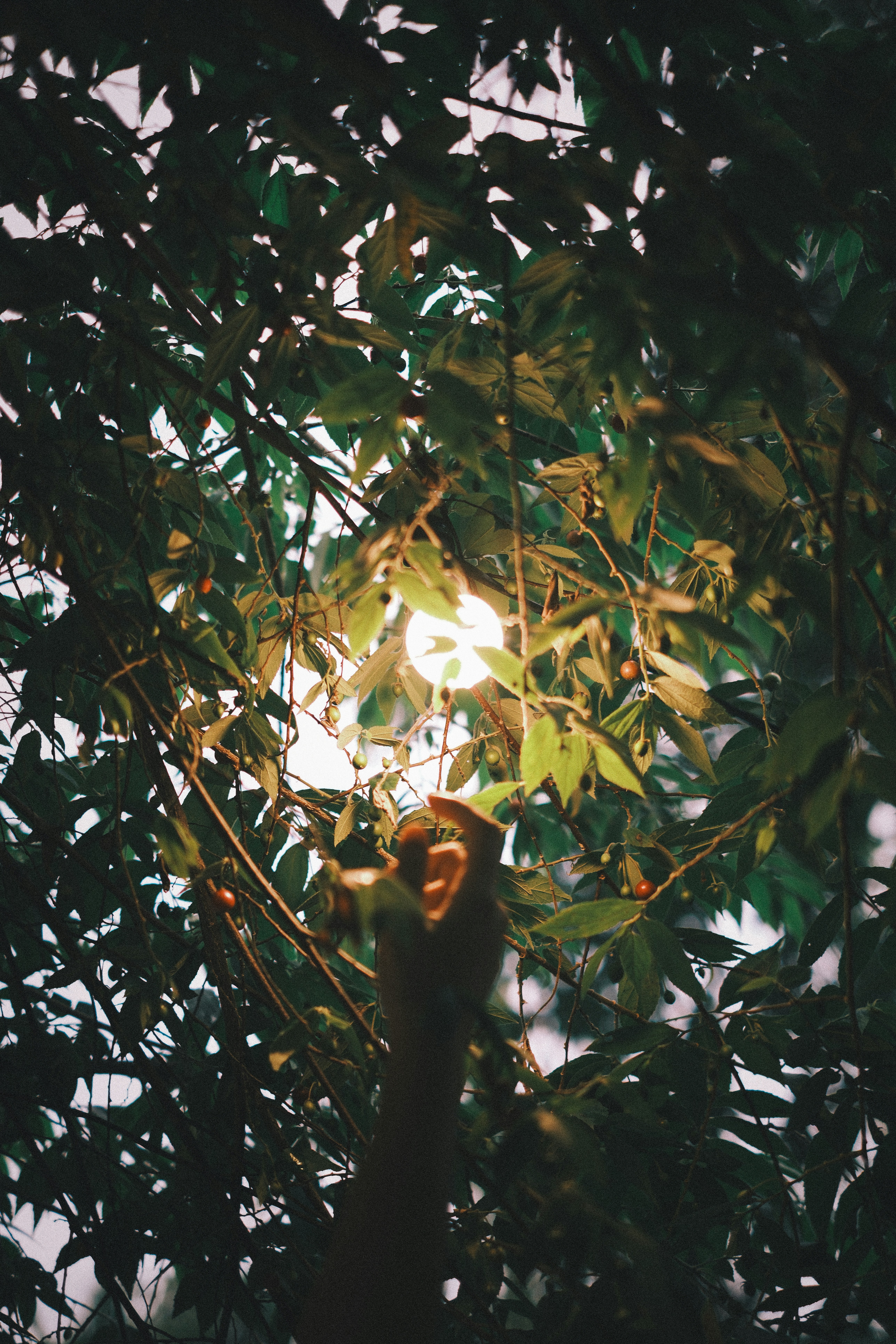 Photo by subspace_stills