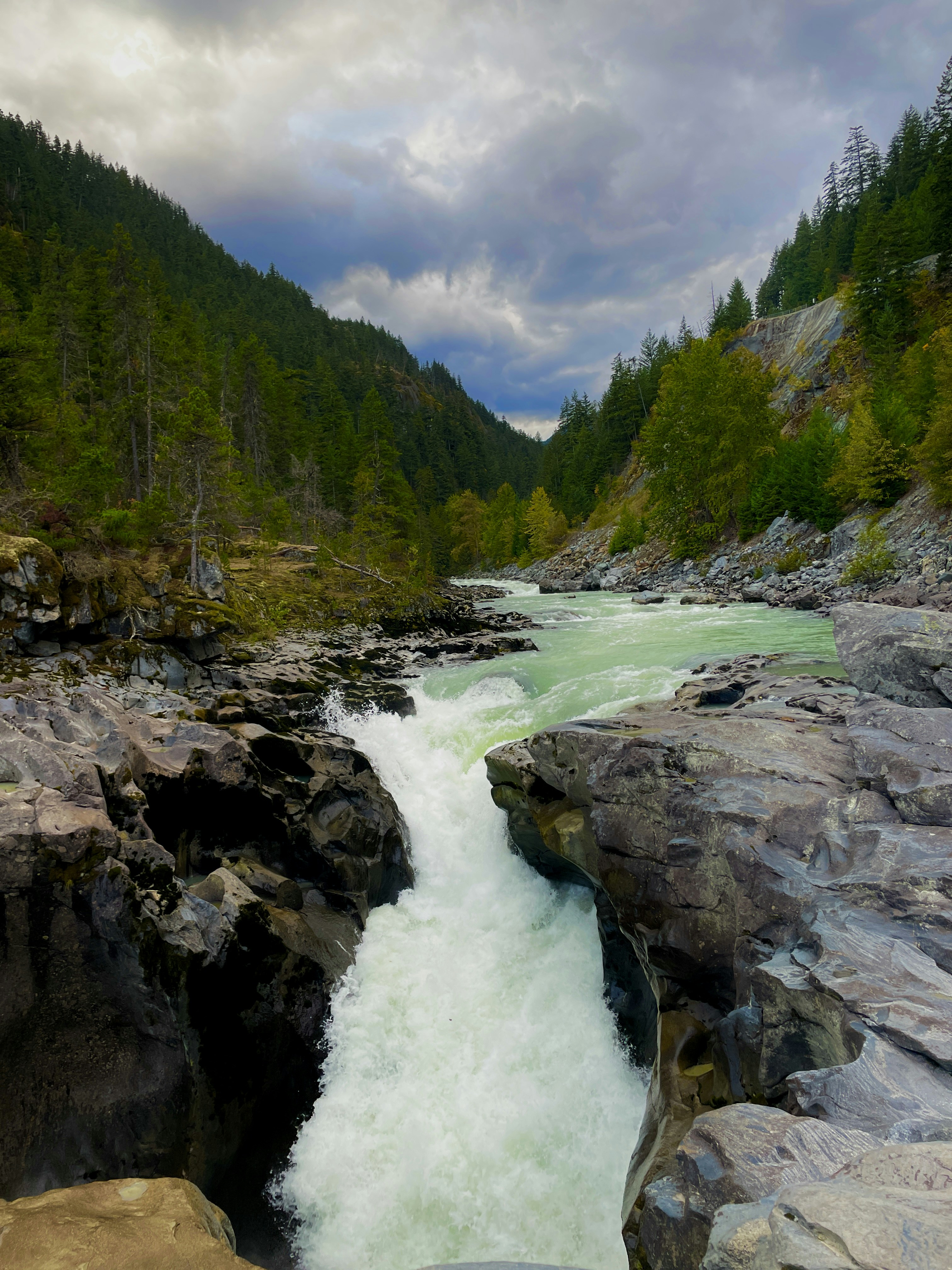 Photo by holychicken99