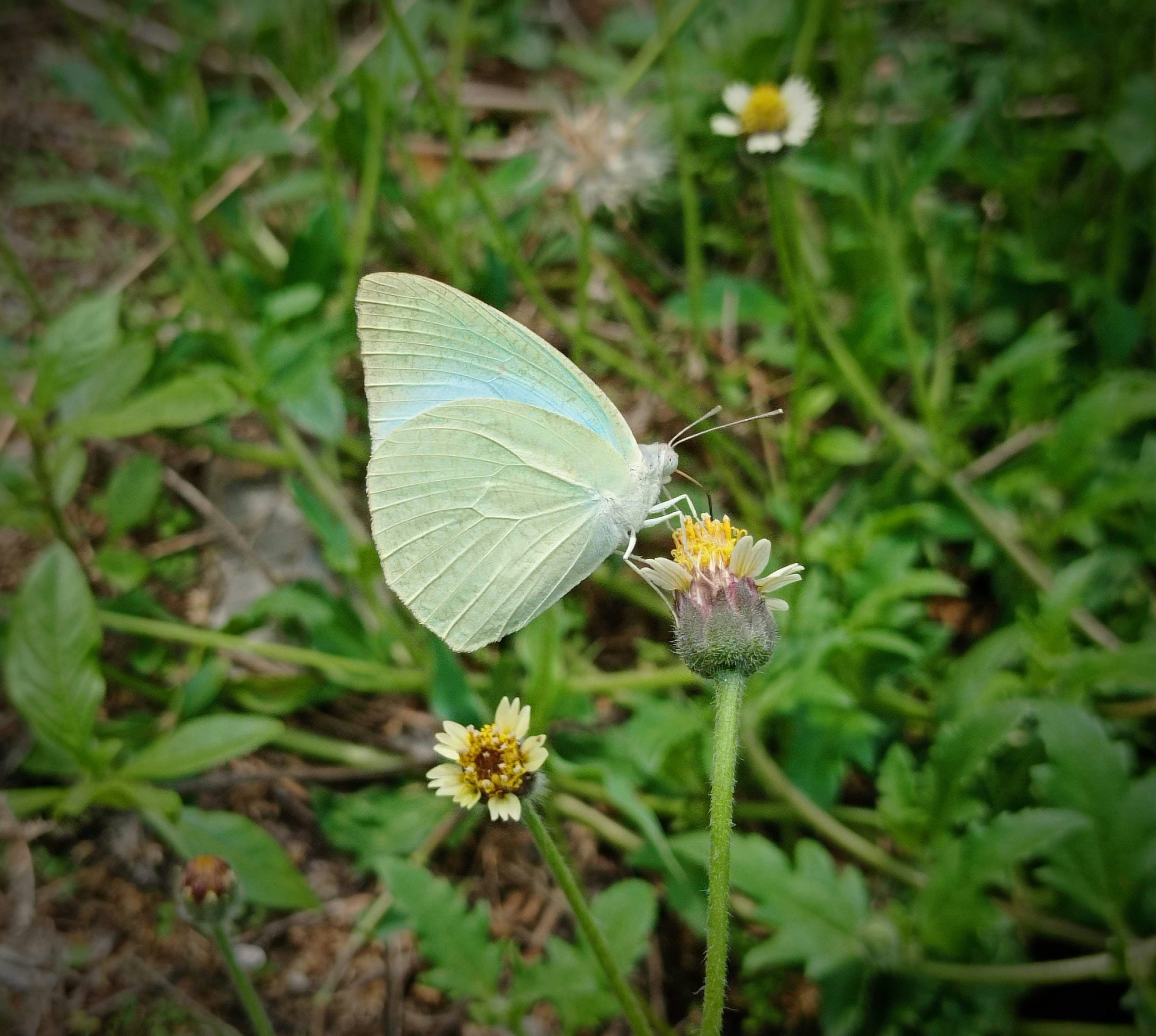 Photo by floatingfish8