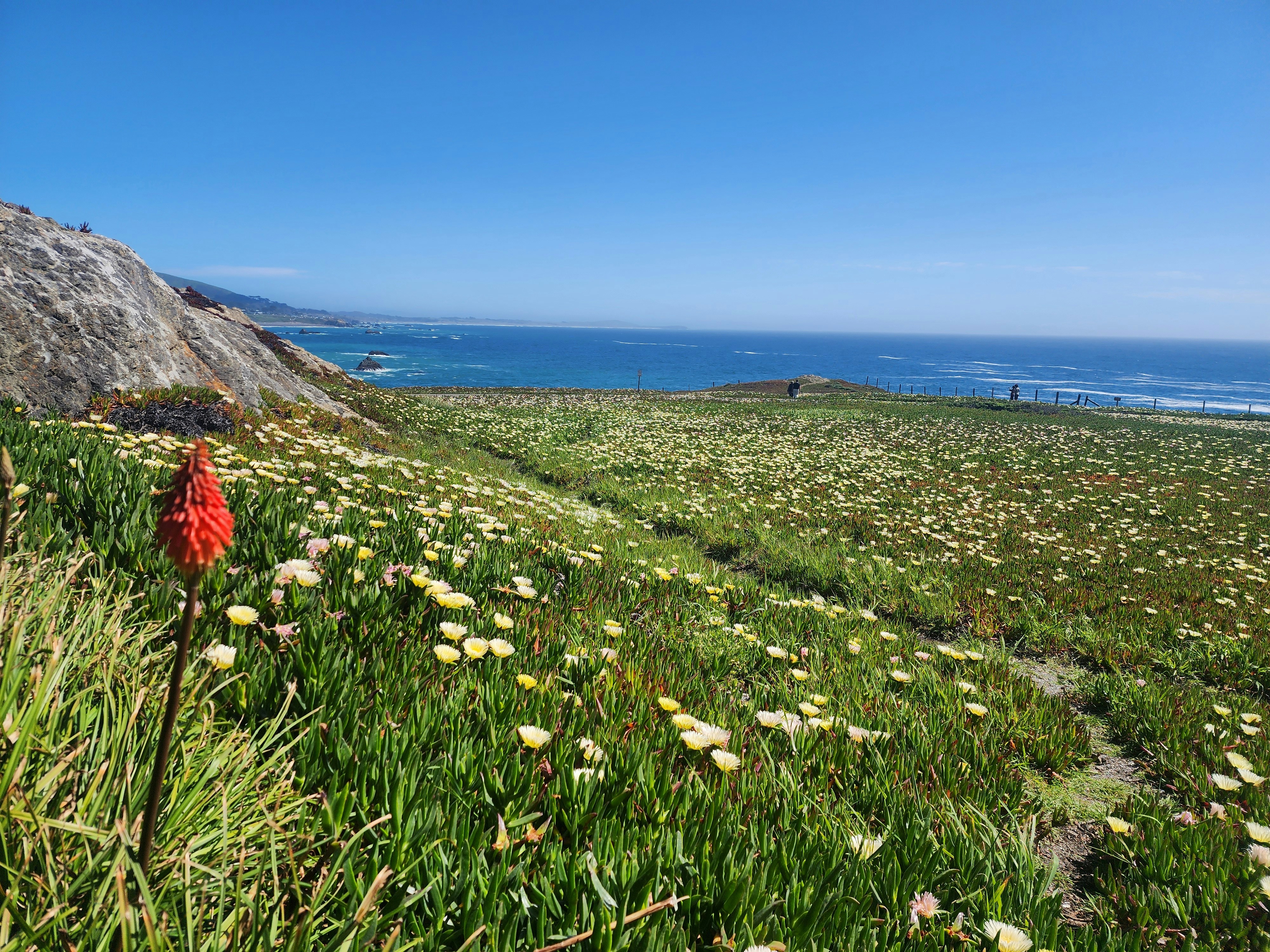 Photo by estephens72