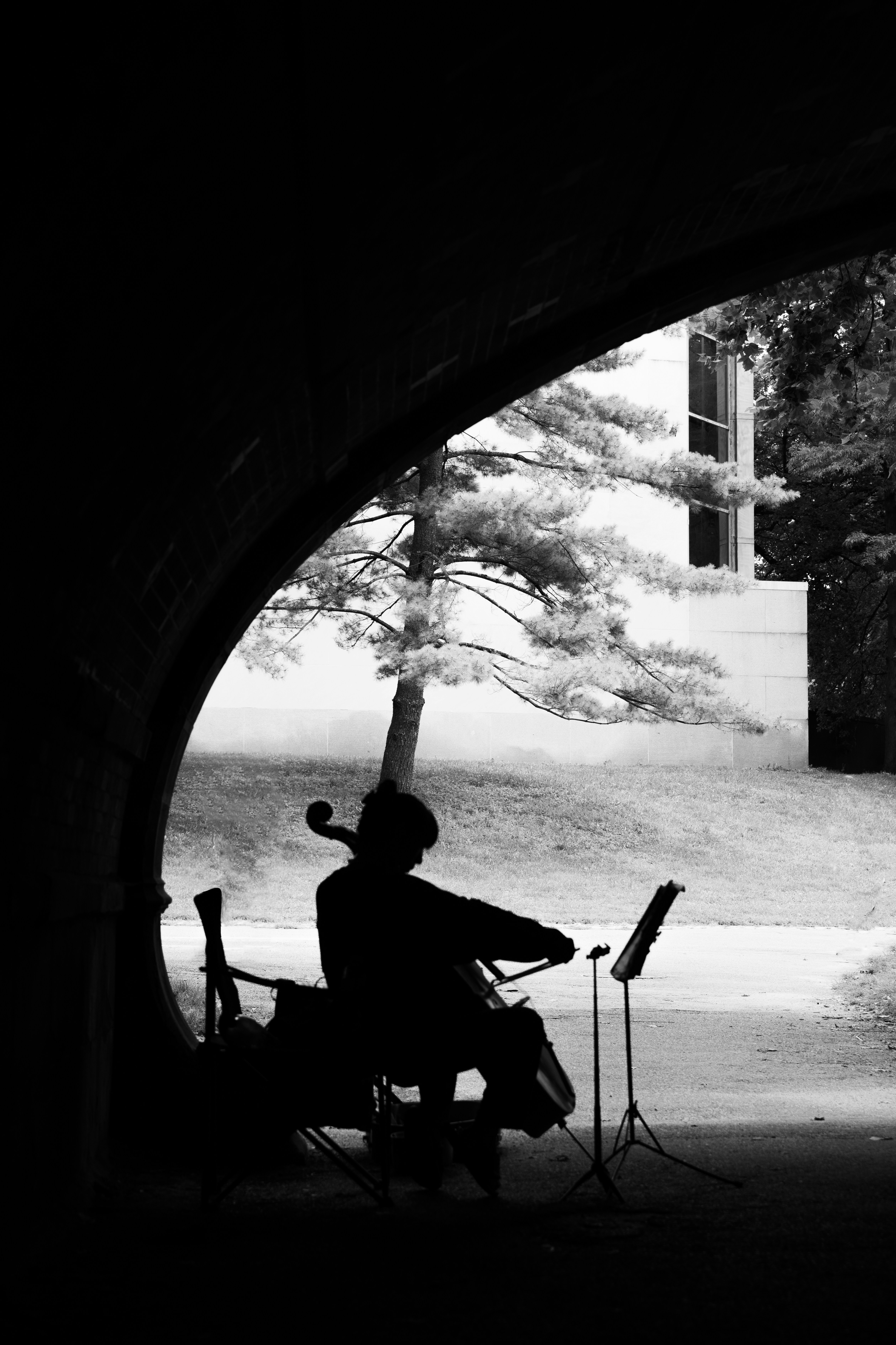 ein Mann, der ein Musikinstrument unter einer Brücke spielt