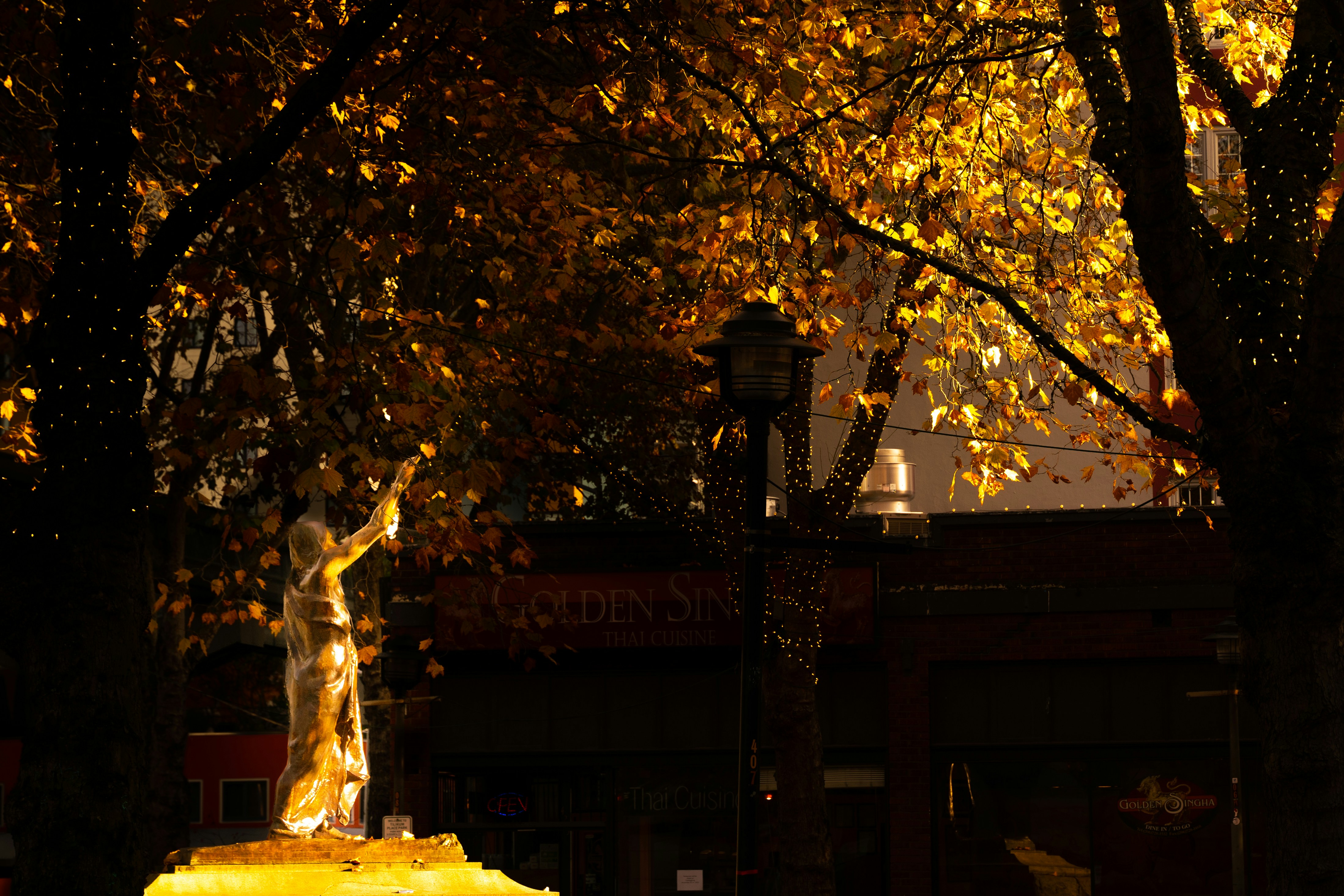 Image by Austin via Unsplash