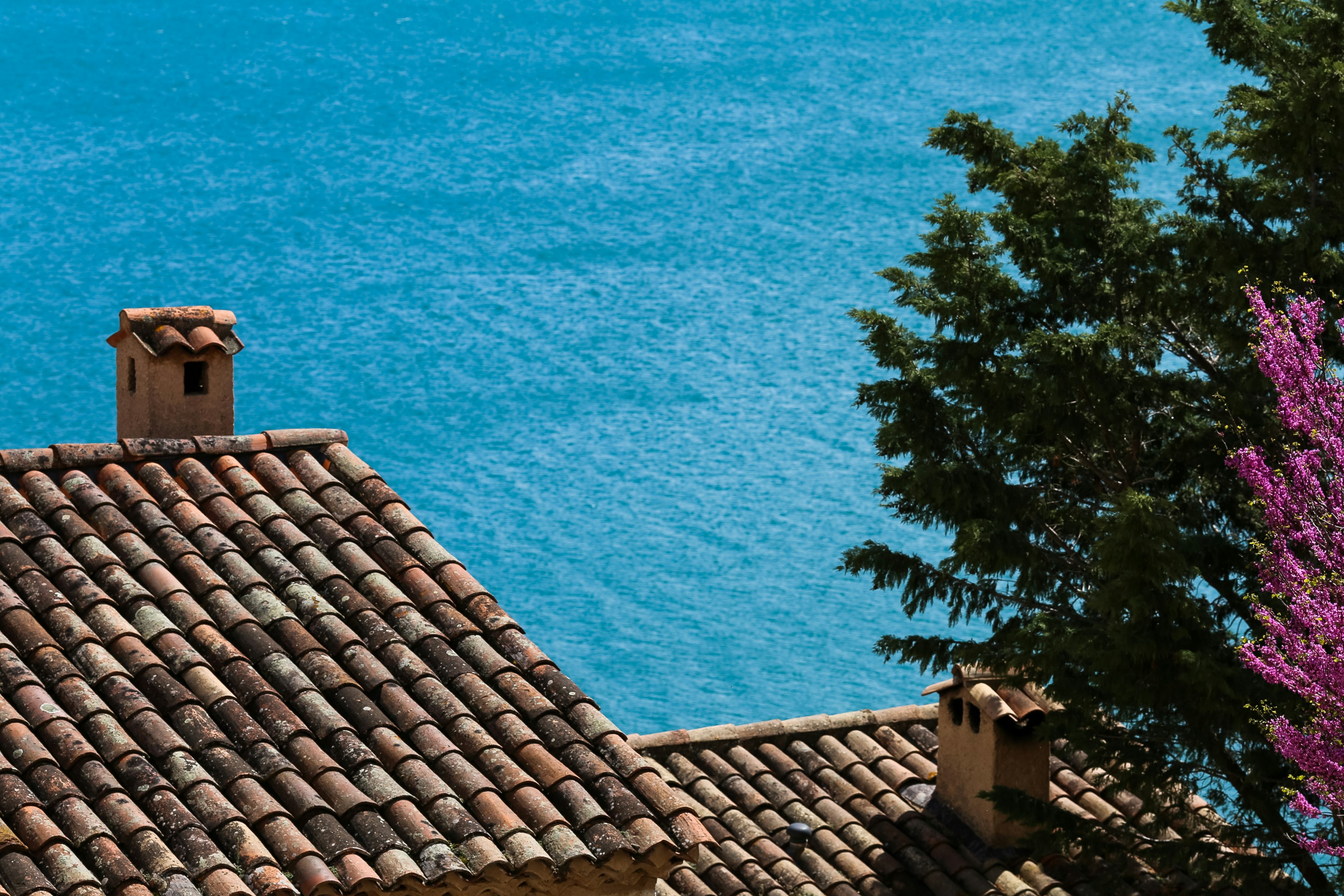 Photo by cestmoisheedy