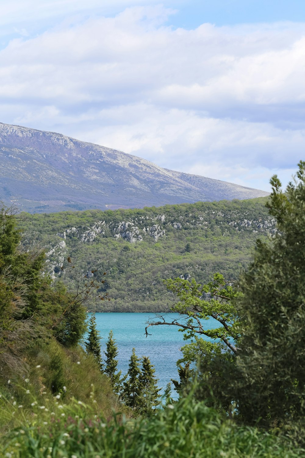 a view of a mountain with a lake in the foreground