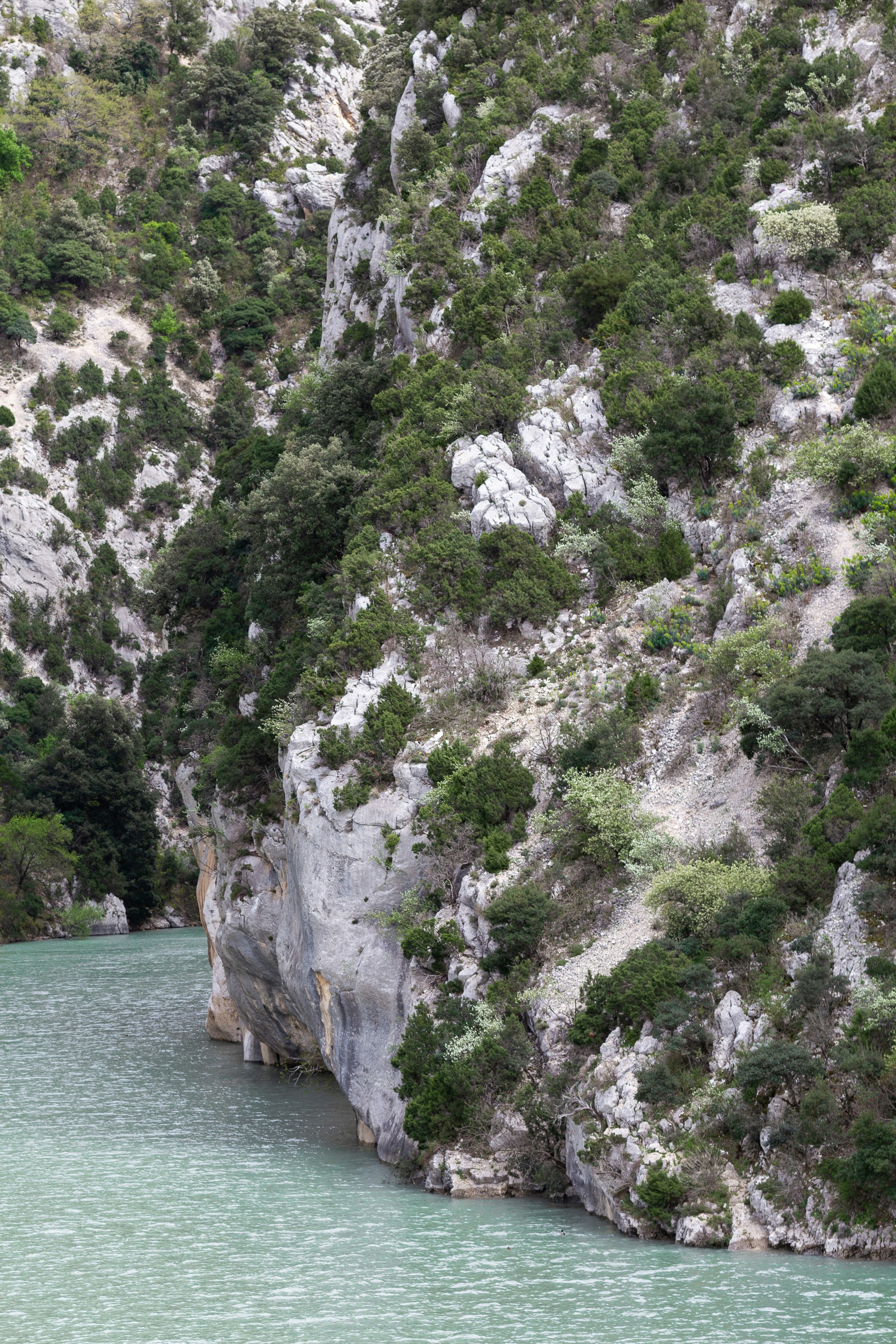 Photo by cestmoisheedy