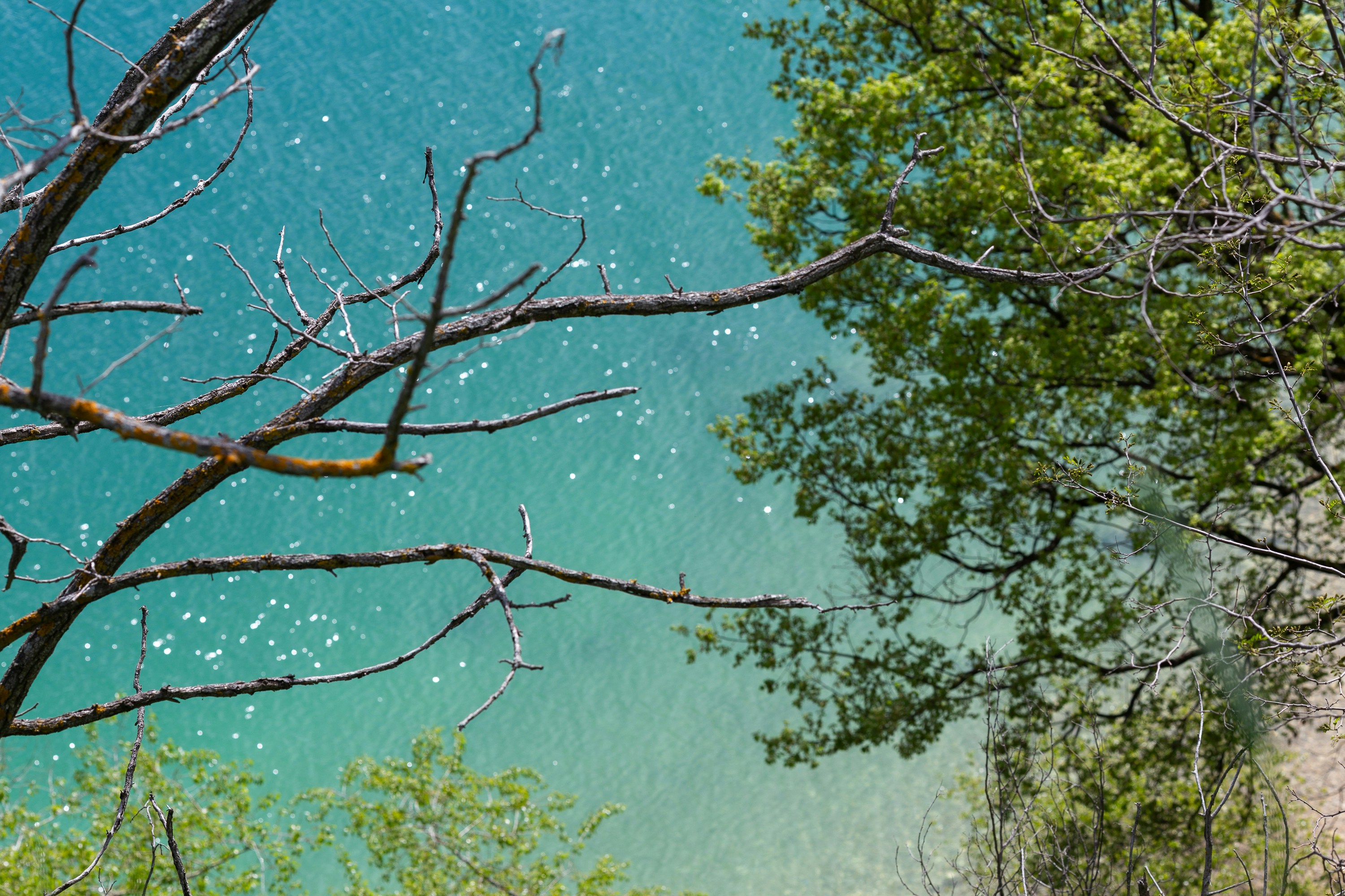 Photo by cestmoisheedy