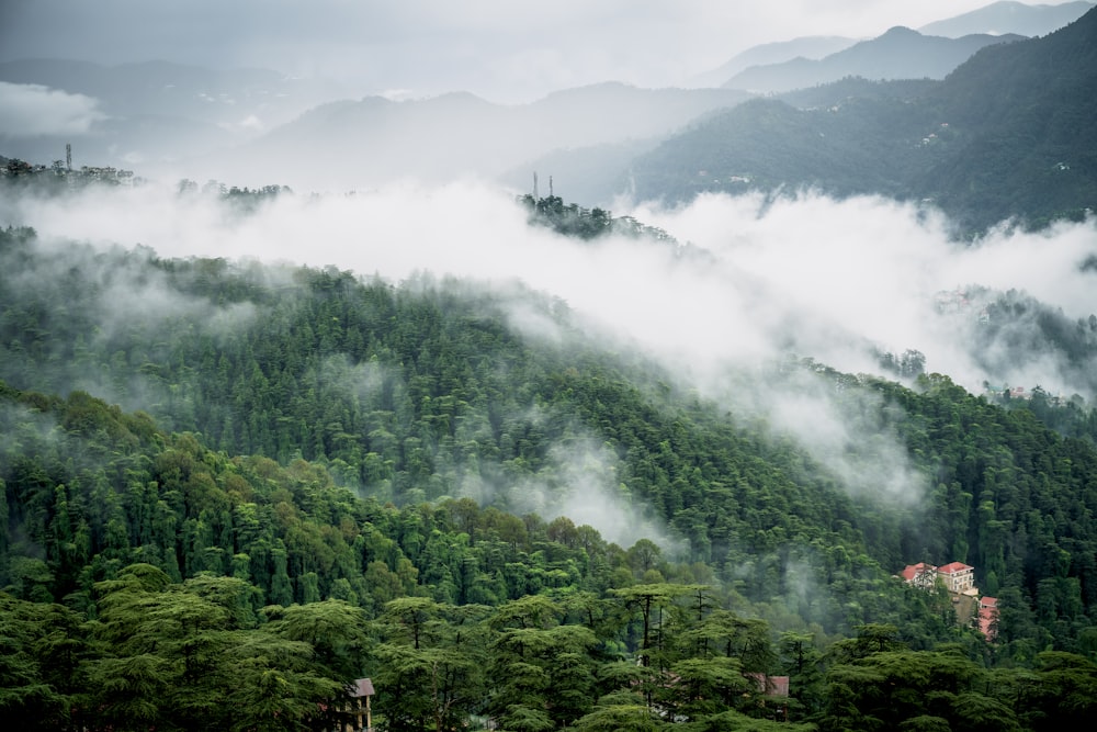 a mountain covered in fog and low lying clouds