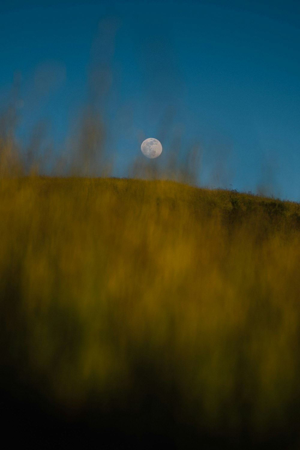 a full moon is seen in the distance over a grassy hill