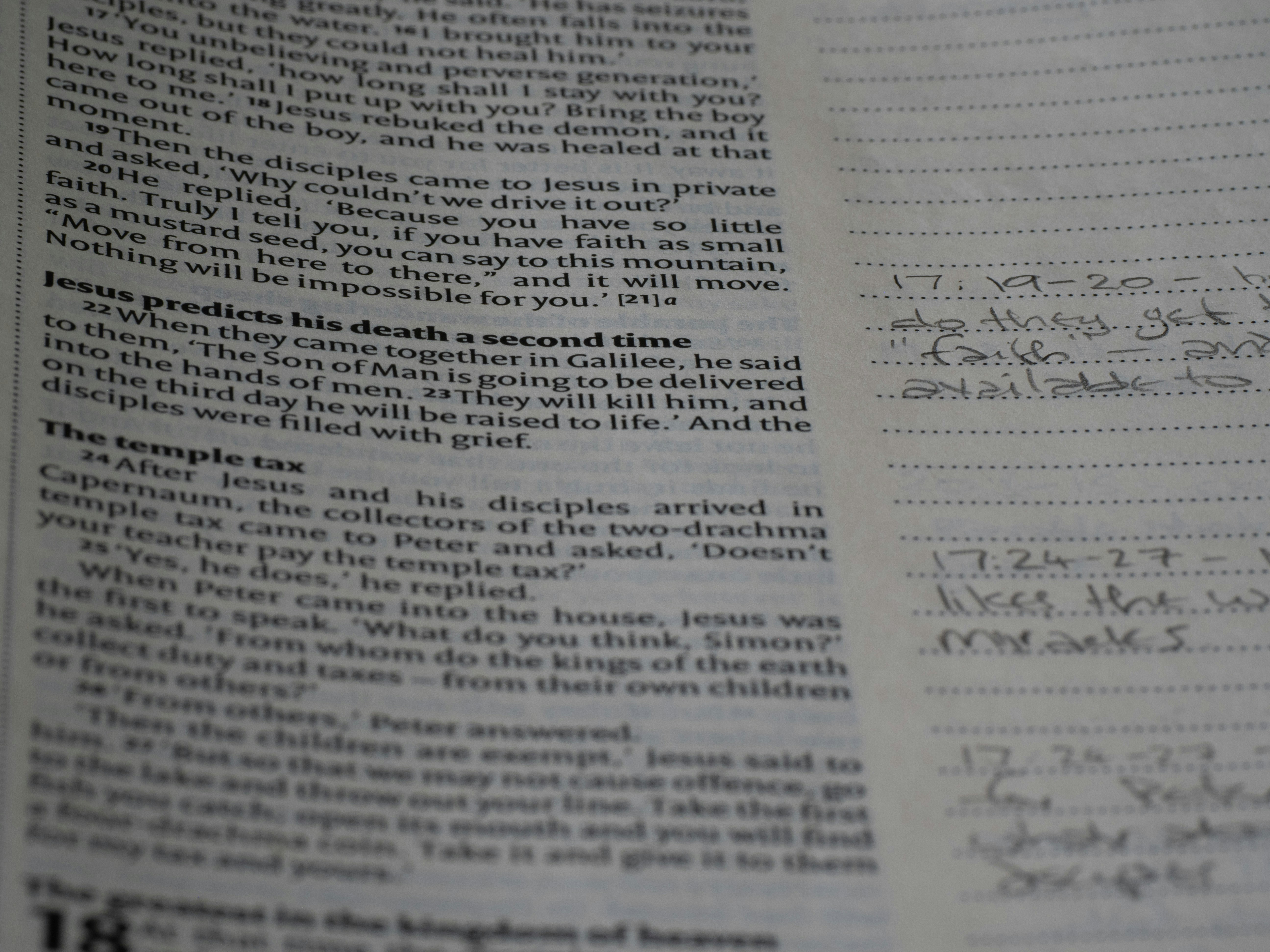 Photo by brett_jordan