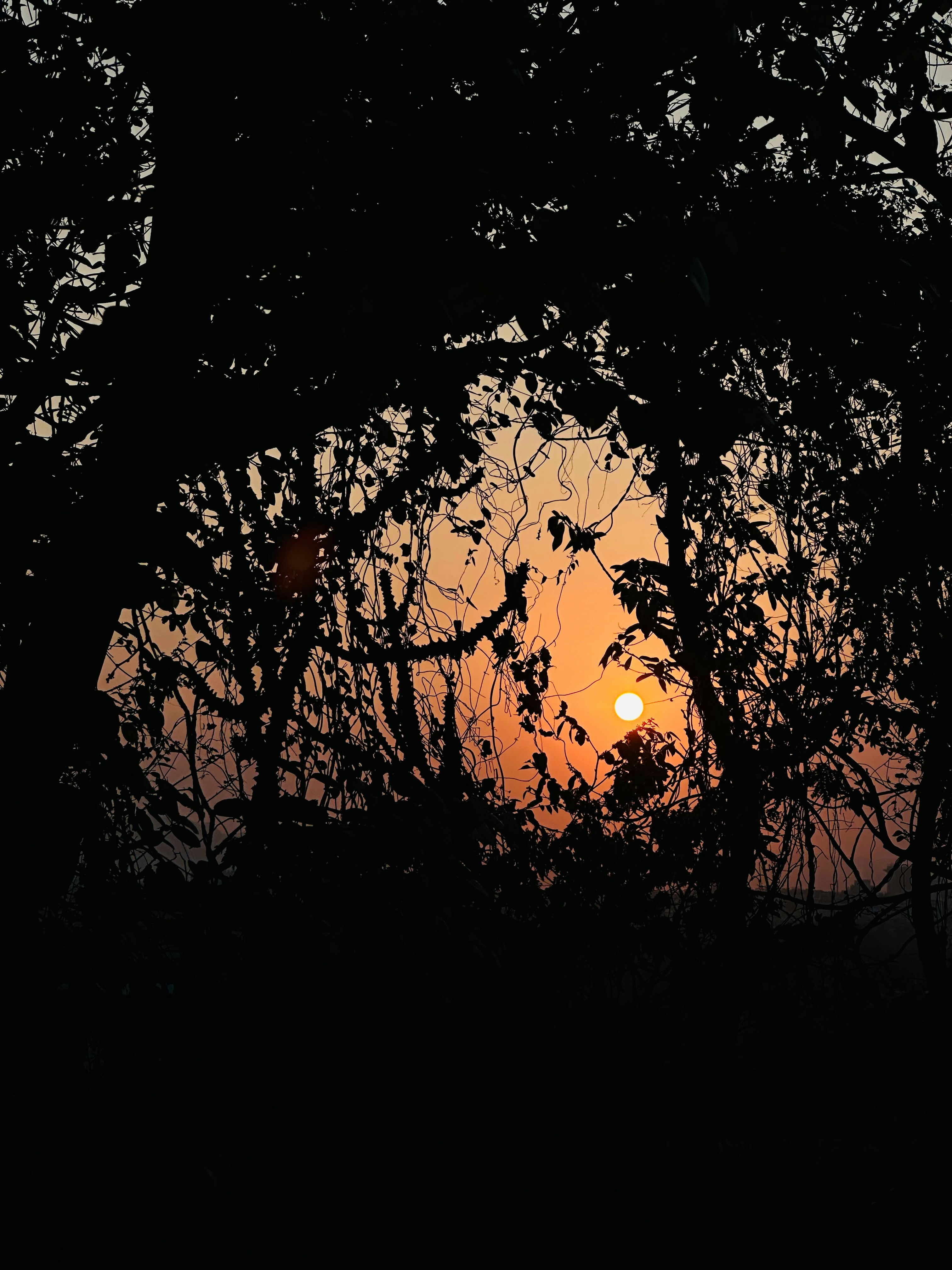 Photo by wolfgang123