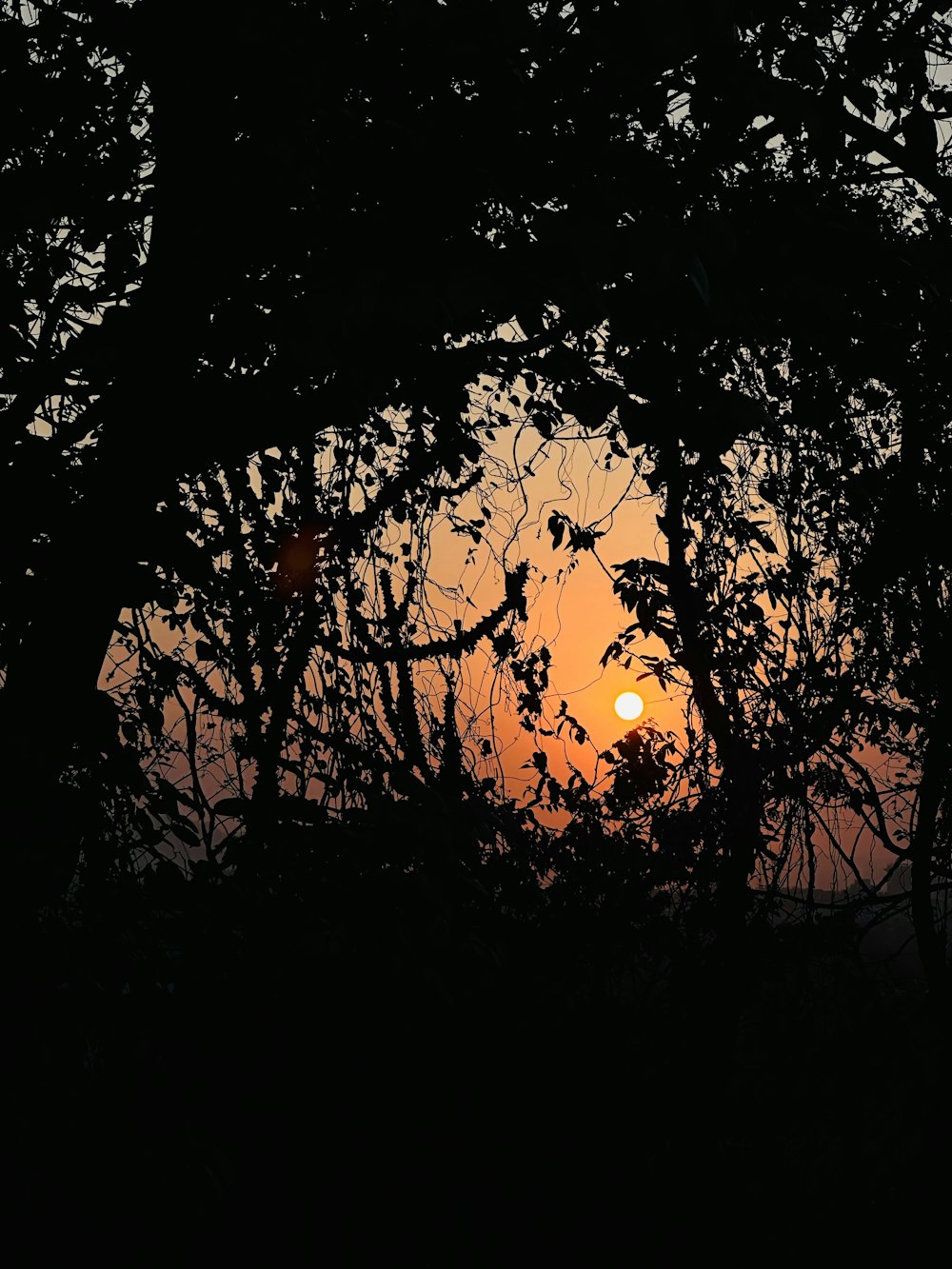 the sun is setting in the distance through the trees