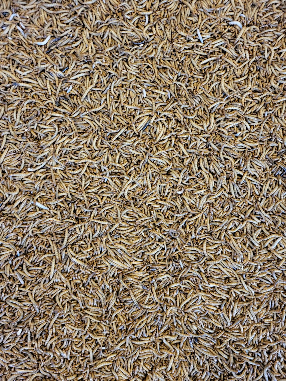 a close up of a pile of brown rice