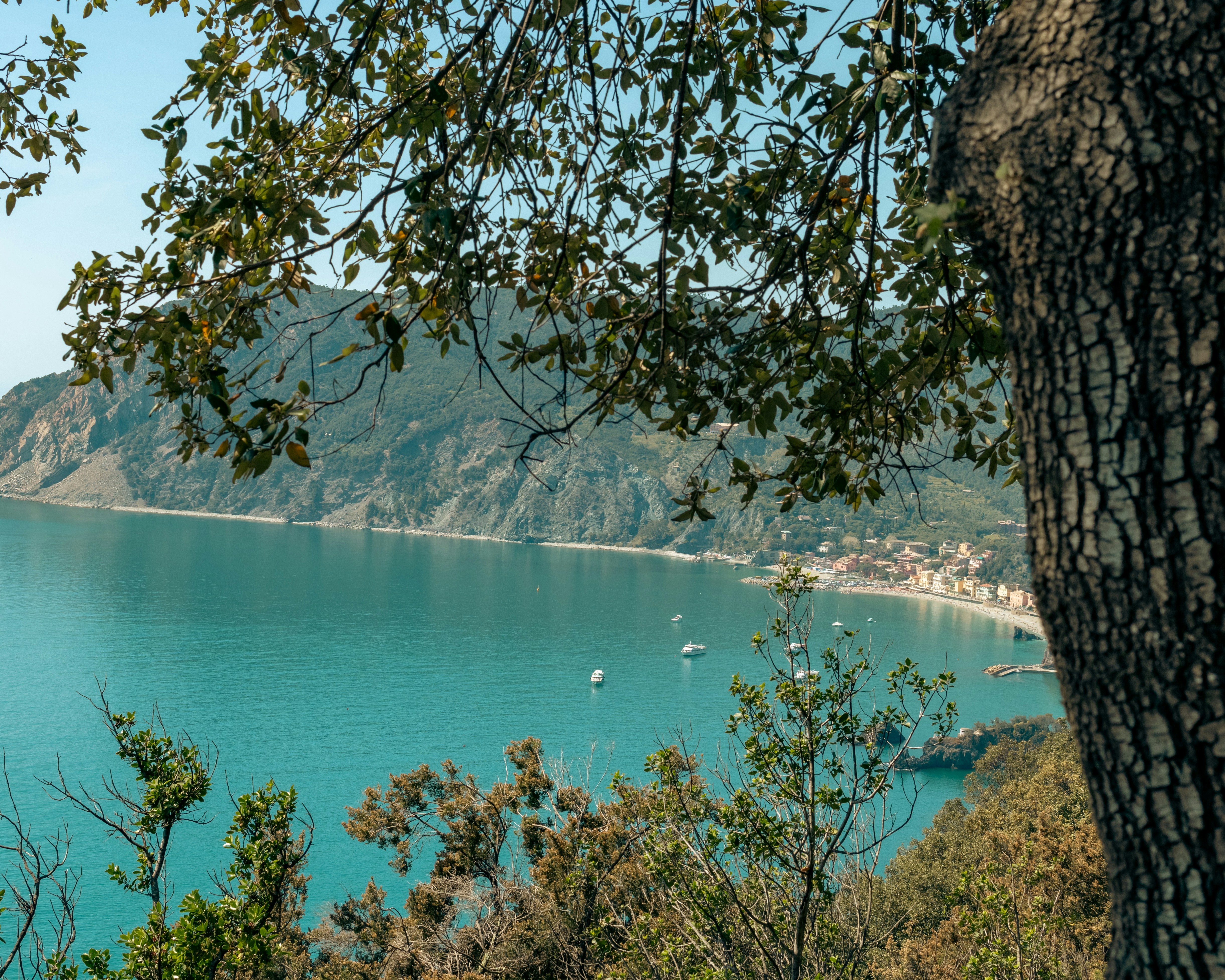 Photo by aestheticscapture_