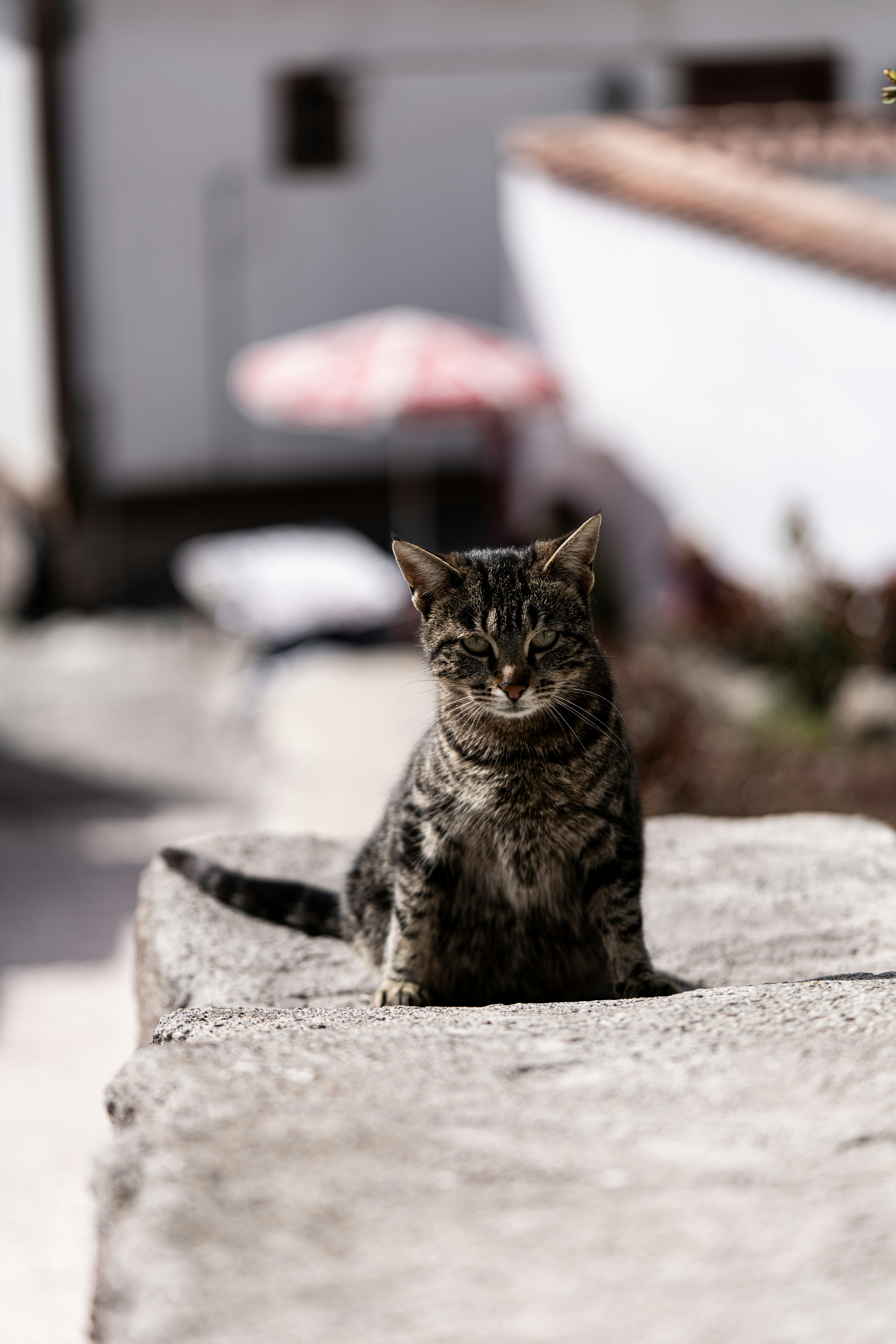 Photo by beeblebrox42