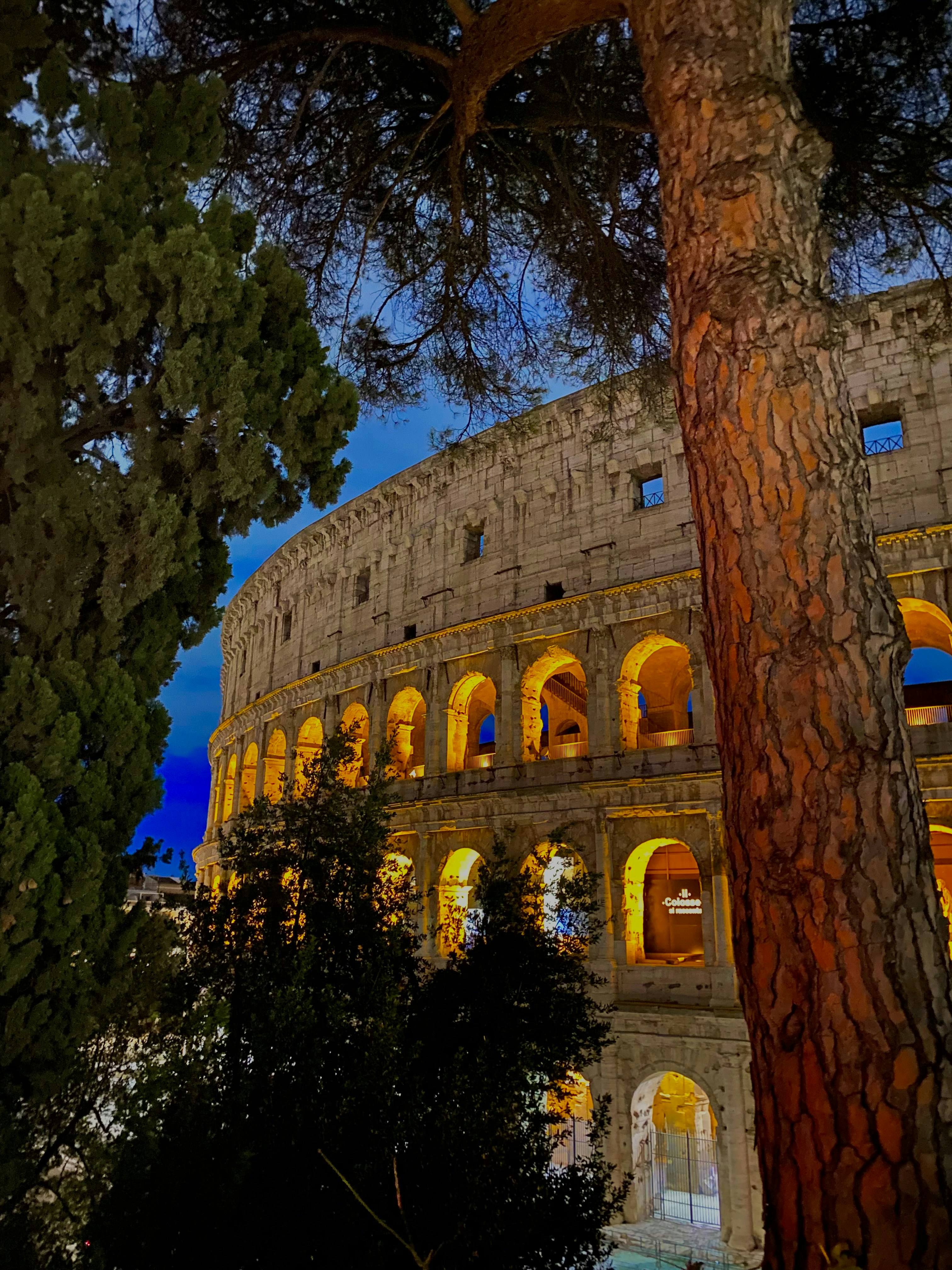 a large tree in front of a building