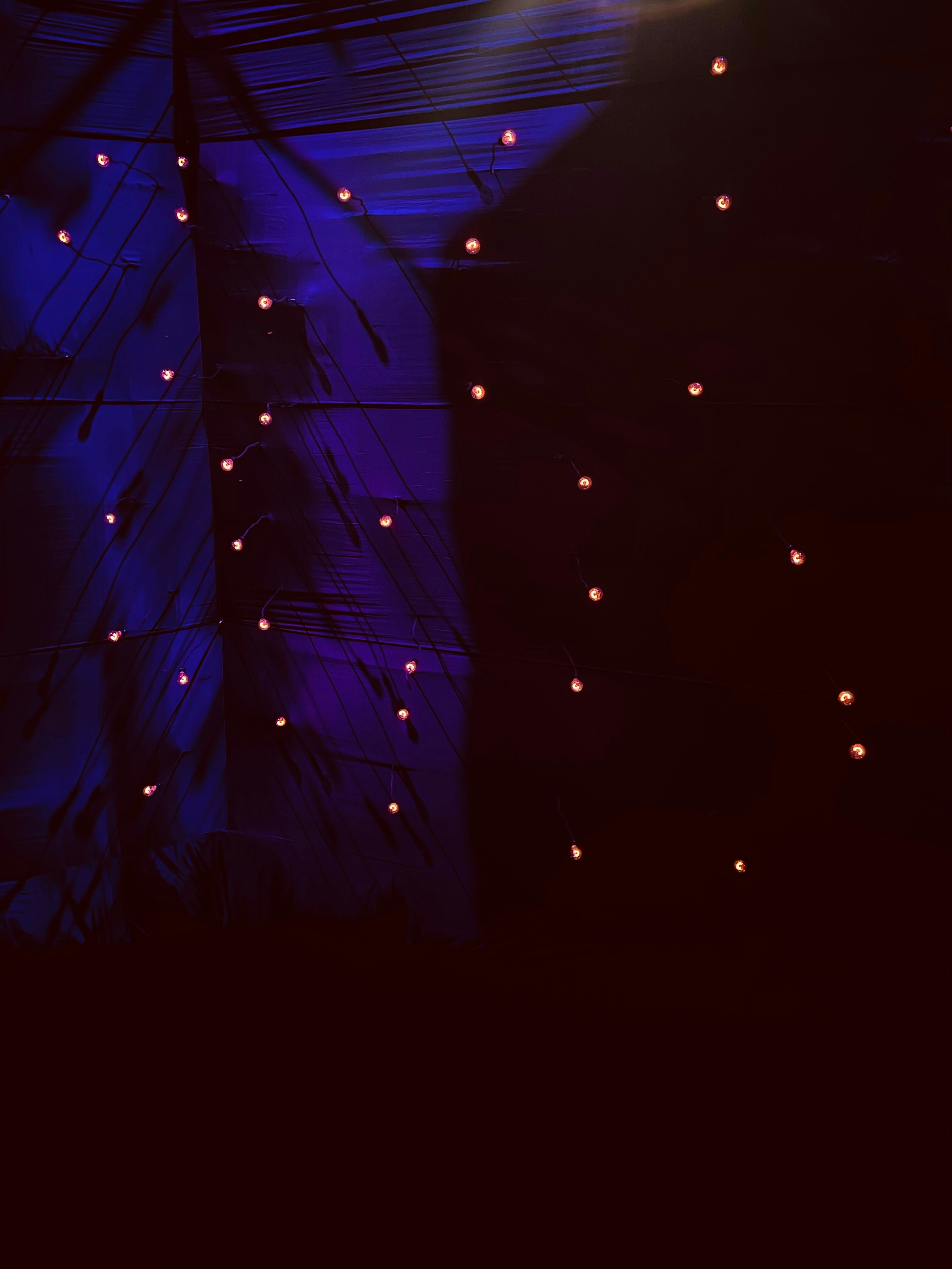 a person on a cell phone in front of a stage