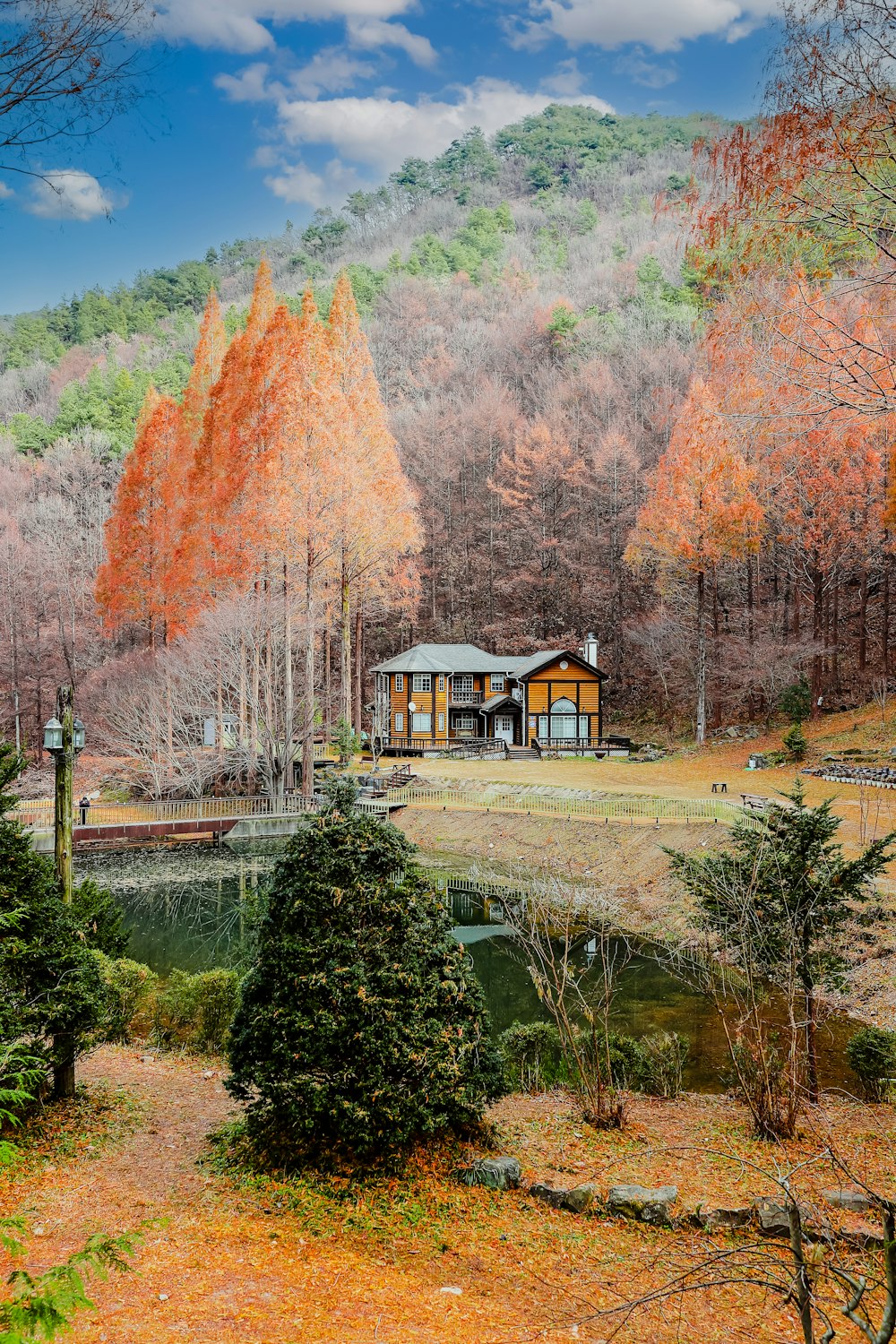 a house in the middle of a wooded area