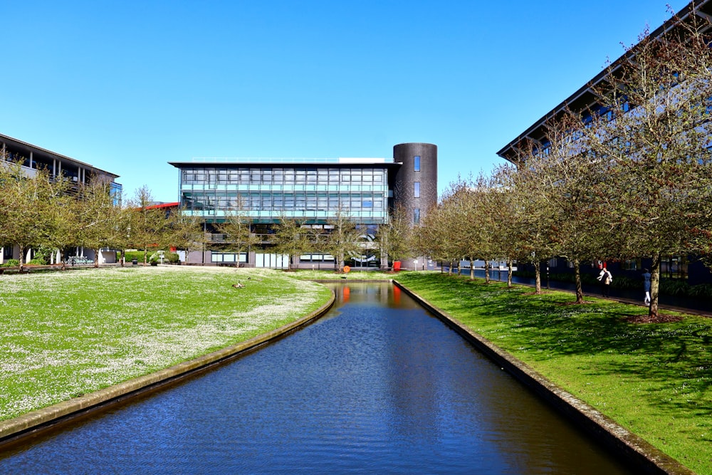 a river running through a lush green park next to a tall building
