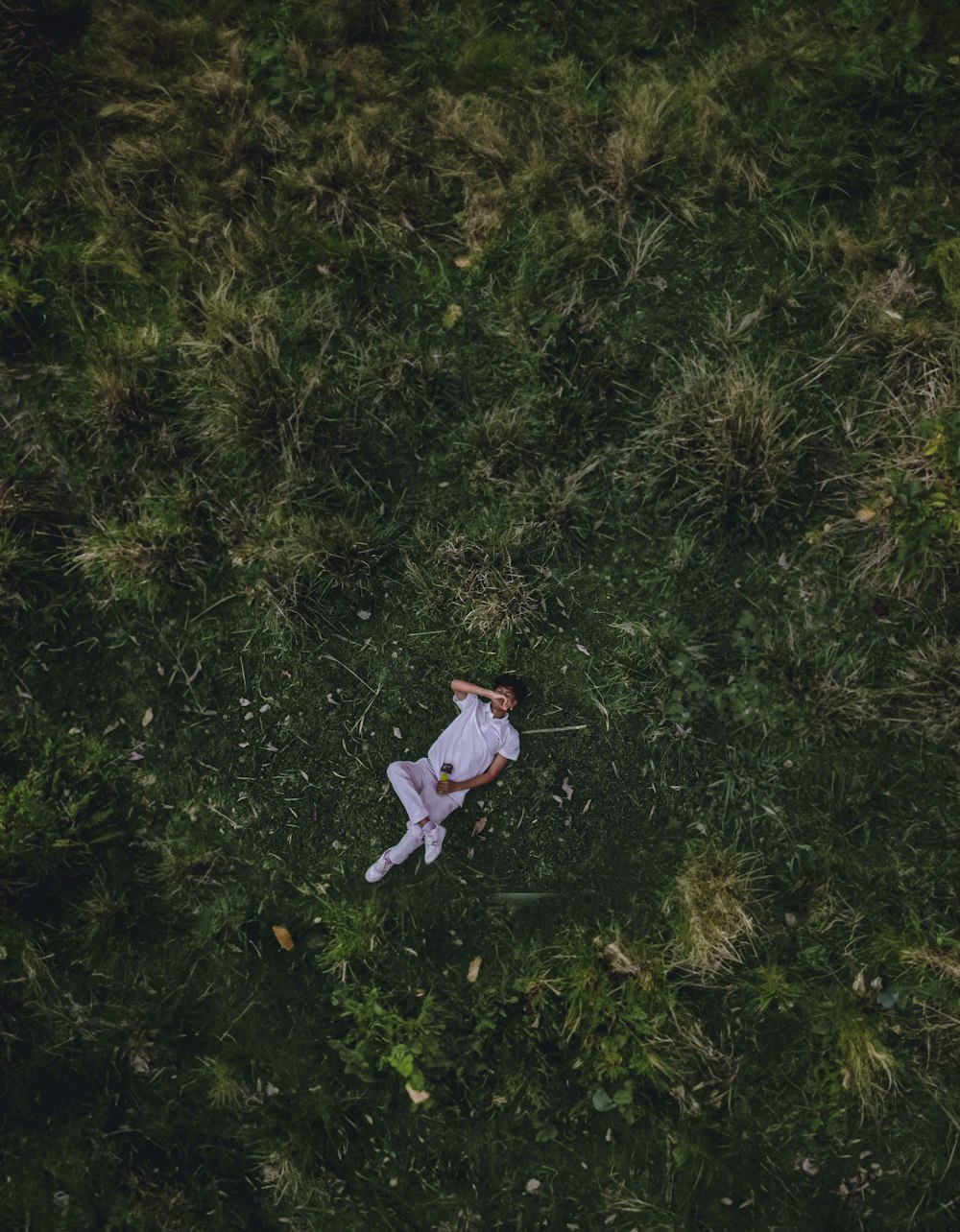 an overhead view of a teddy bear laying in the grass