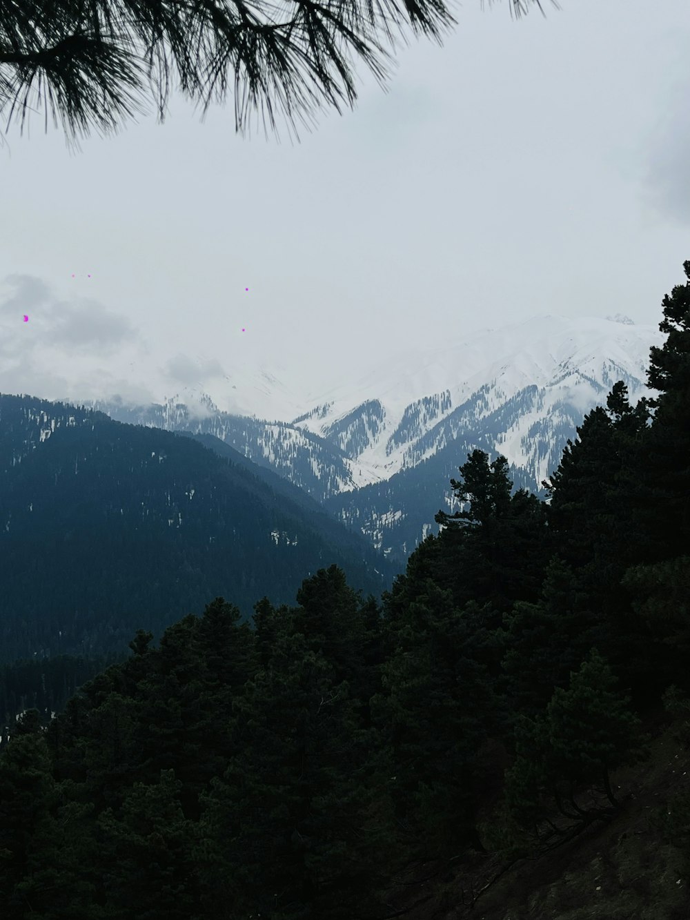 a view of a mountain range with trees in the foreground