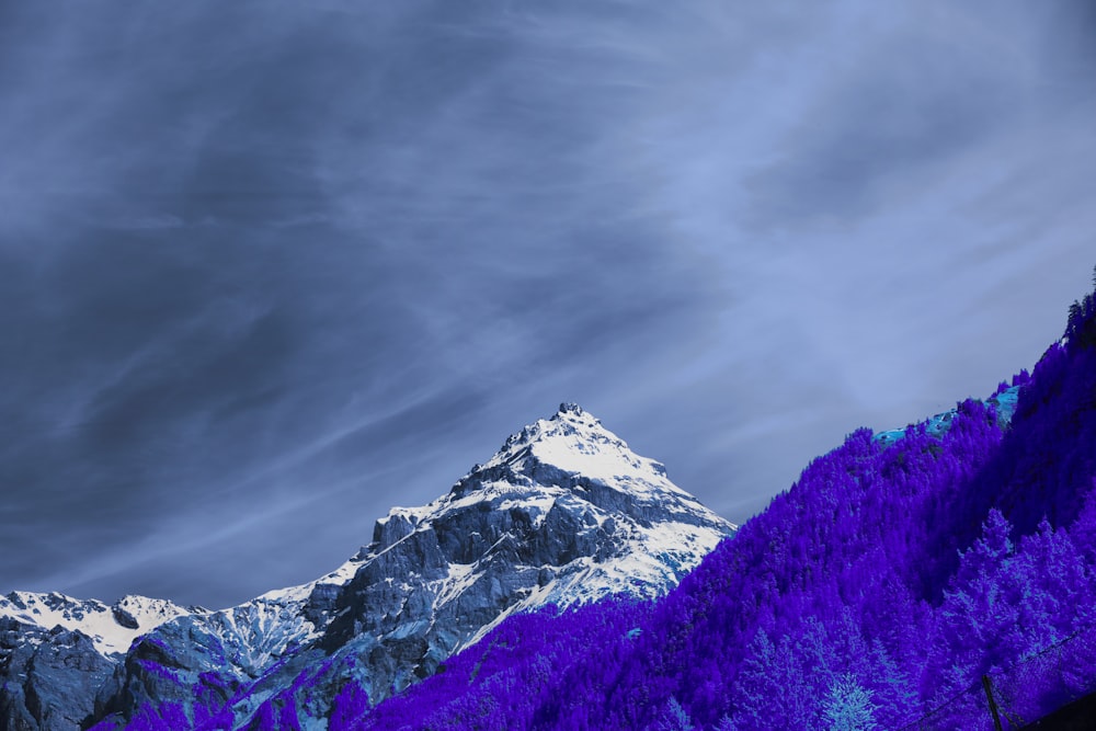 a mountain covered in purple trees under a cloudy sky