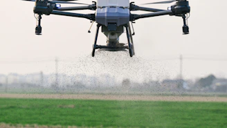 A small plane flying over a green field