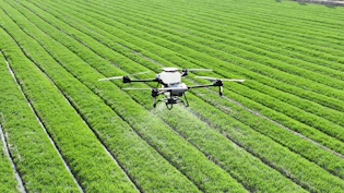A large field of green grass with a small plane in the middle of it