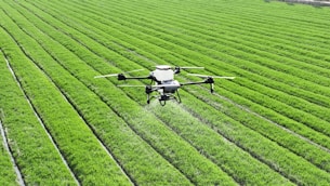 A large field of green grass with a small plane in the middle of it
