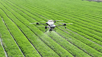 A large field of green grass with a small plane in the middle of it