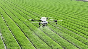 A large field of green grass with a small plane in the middle of it