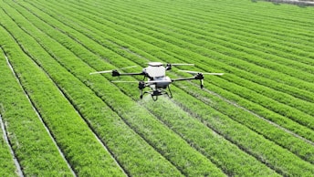 A large field of green grass with a small plane in the middle of it