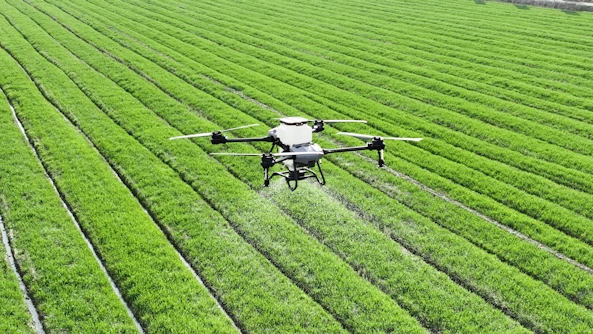 A large field of green grass with a small plane in the middle of it