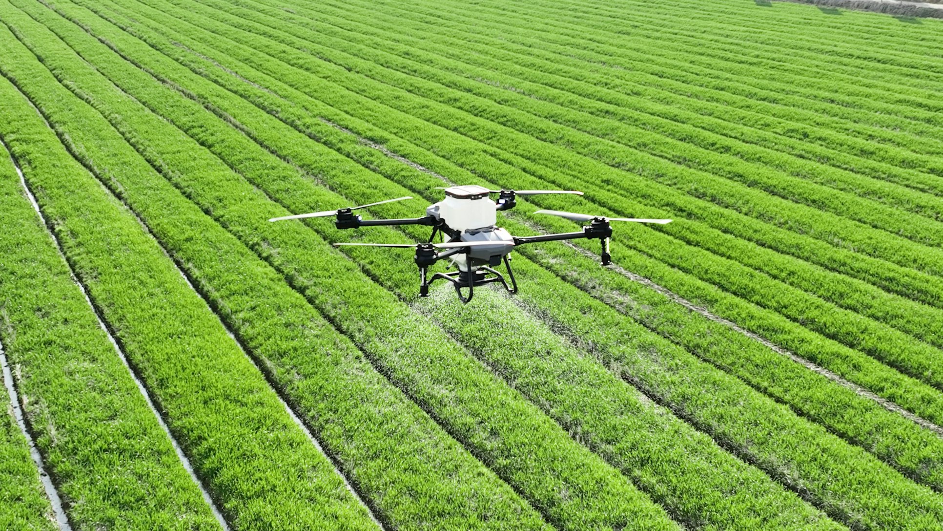 Agricultural drone spraying pesticides over a farm field