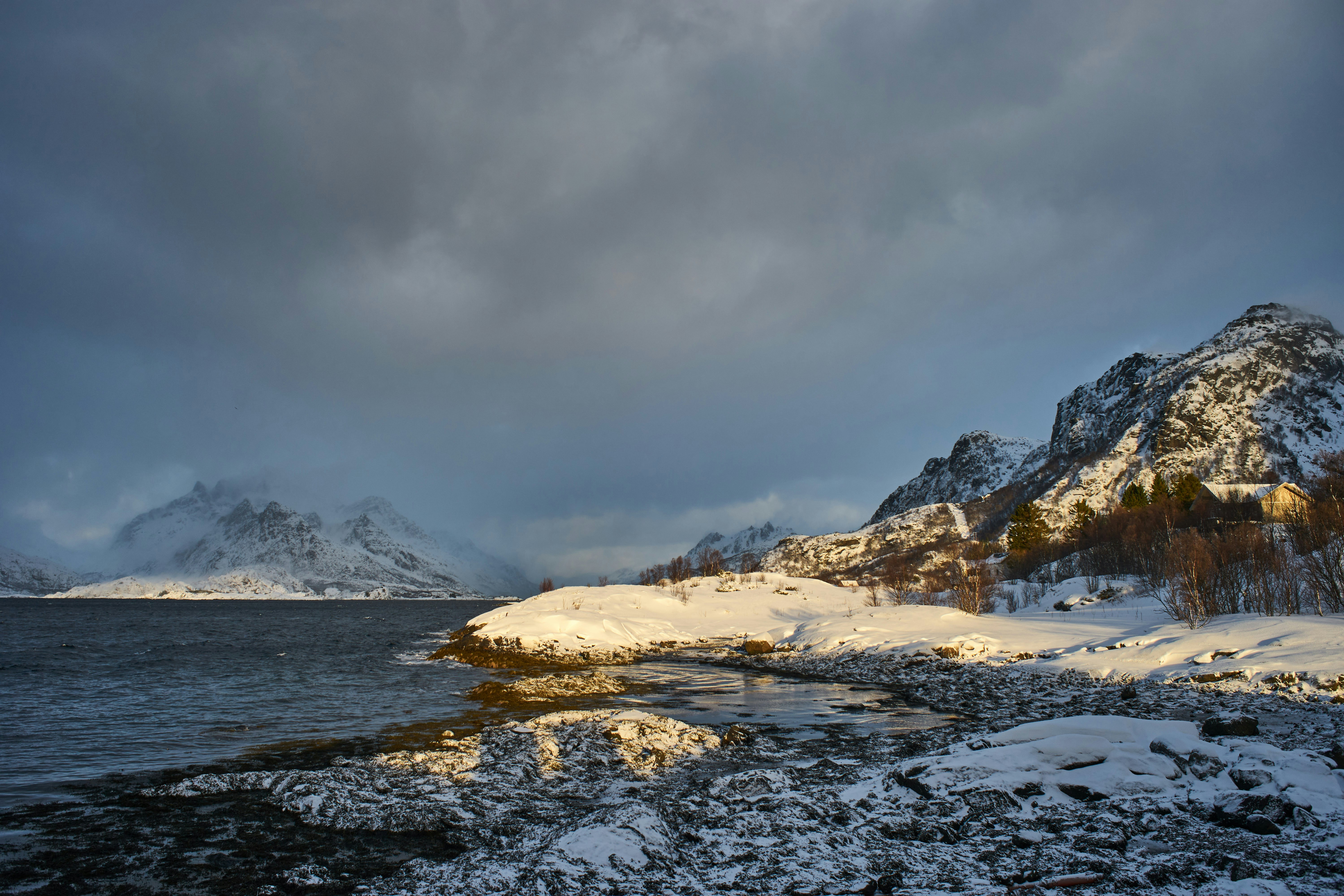 Photo by wolfgang_hasselmann