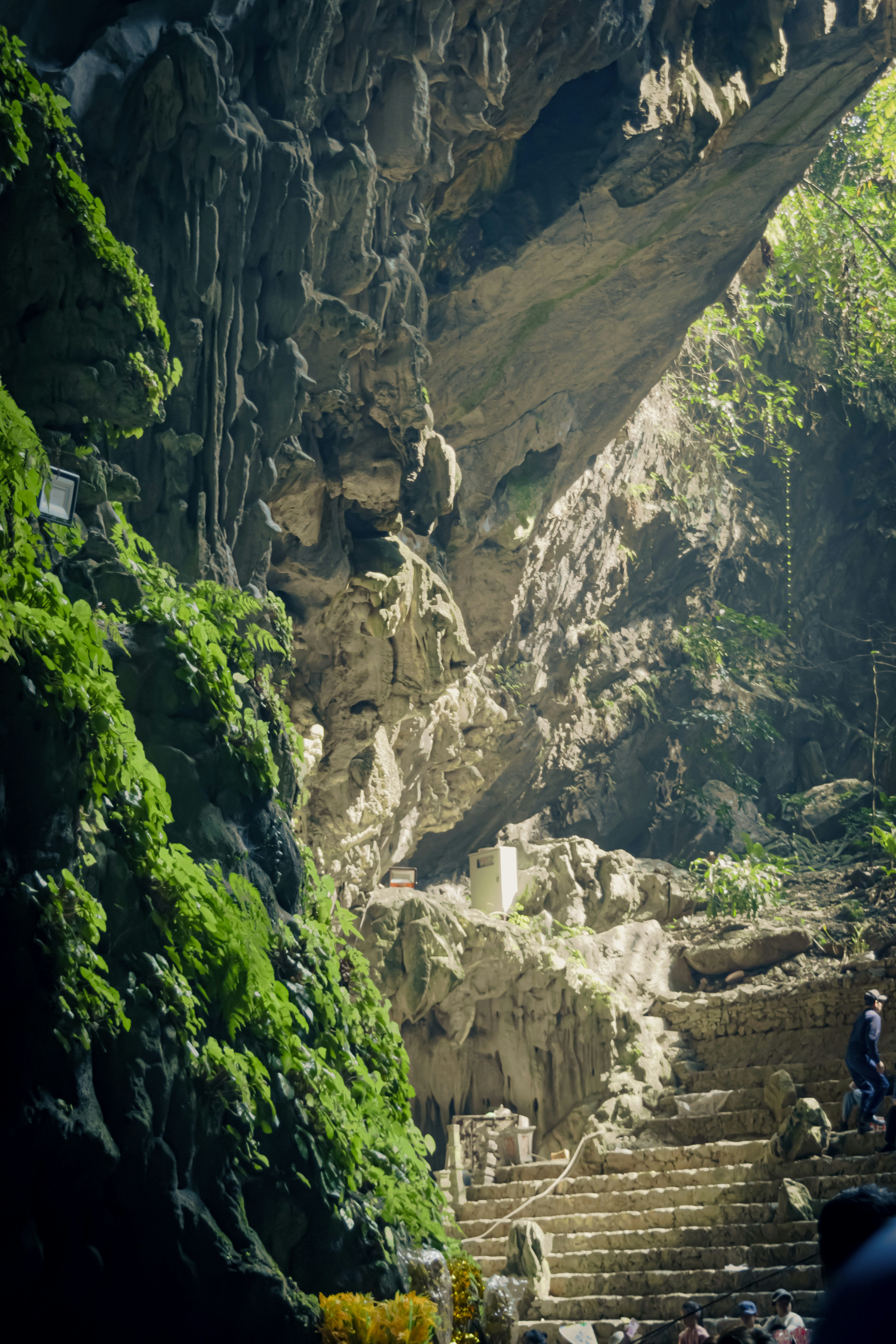 Photo by hoanganh_dreamplanie