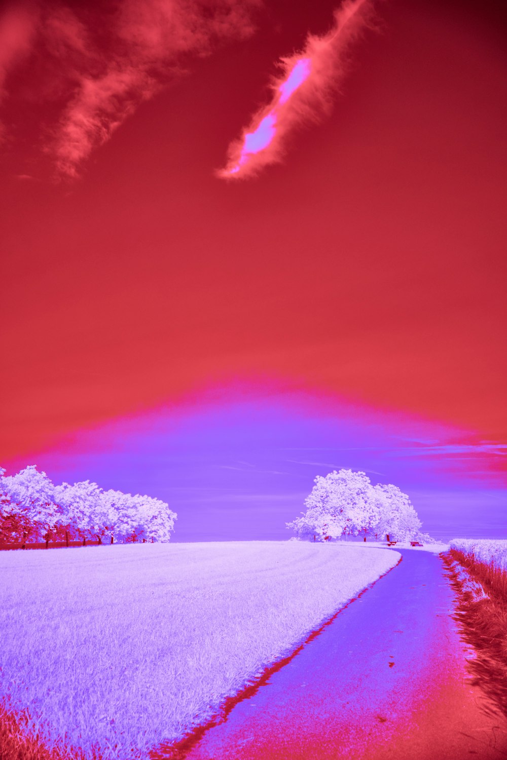 uma imagem infravermelha de um campo com árvores