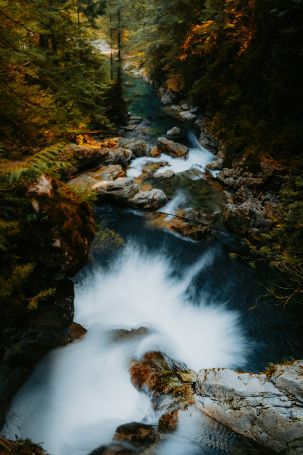 a river running through a lush green forest