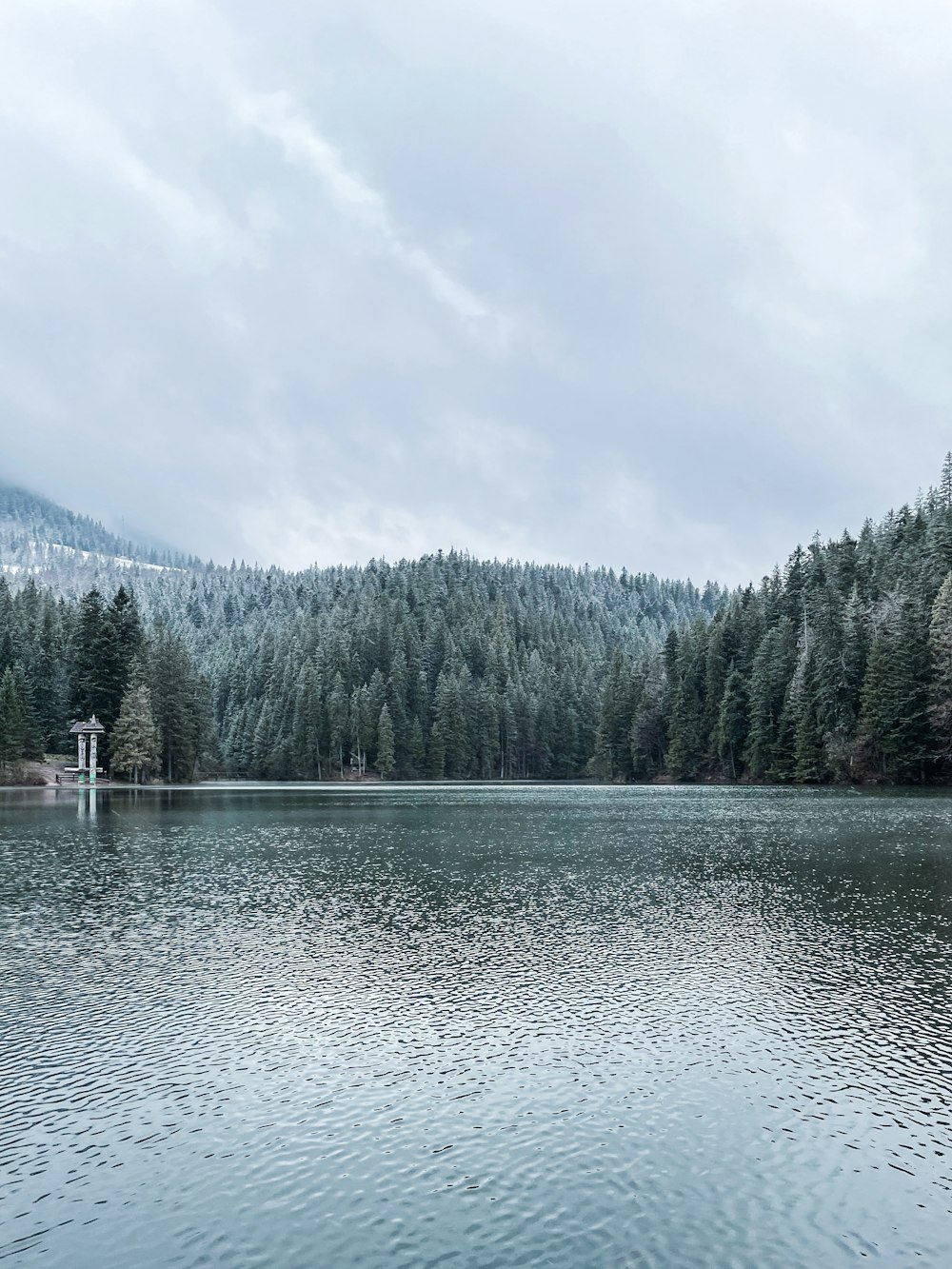 a large body of water surrounded by trees