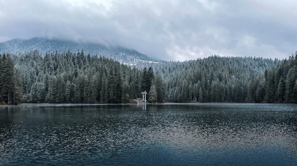 a large body of water surrounded by trees