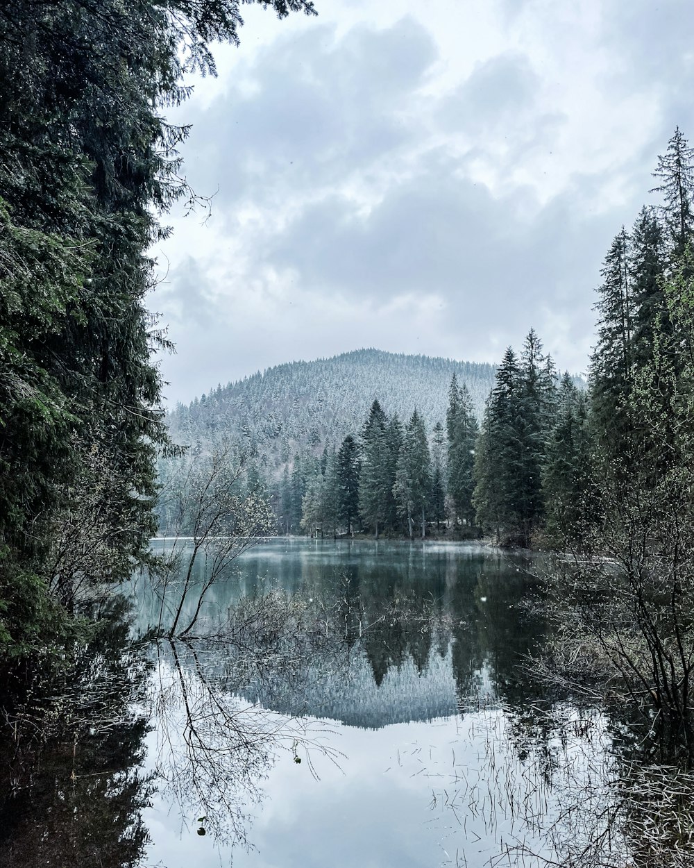 a lake surrounded by trees with a mountain in the background