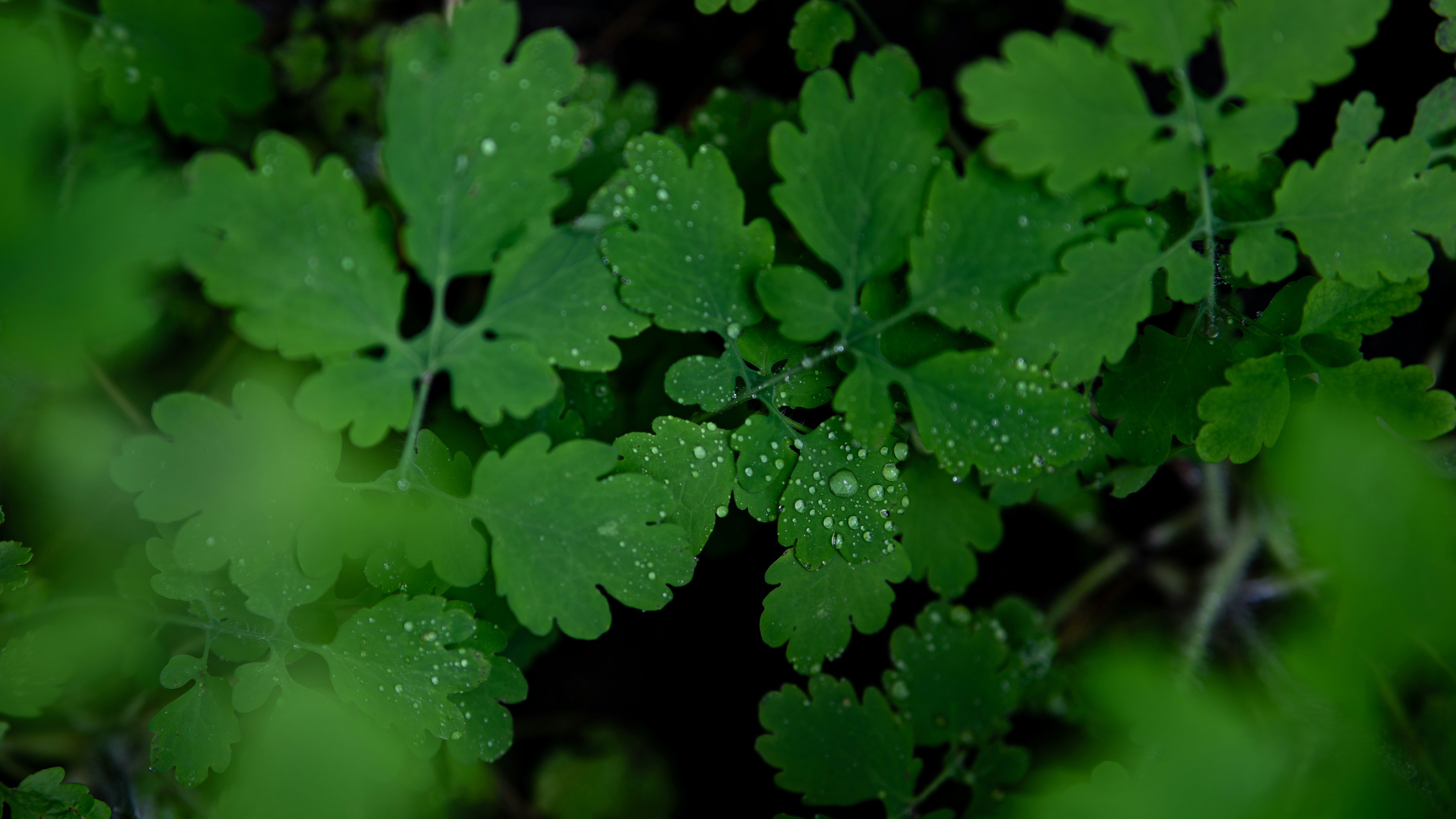 Photo by eugenechystiakov